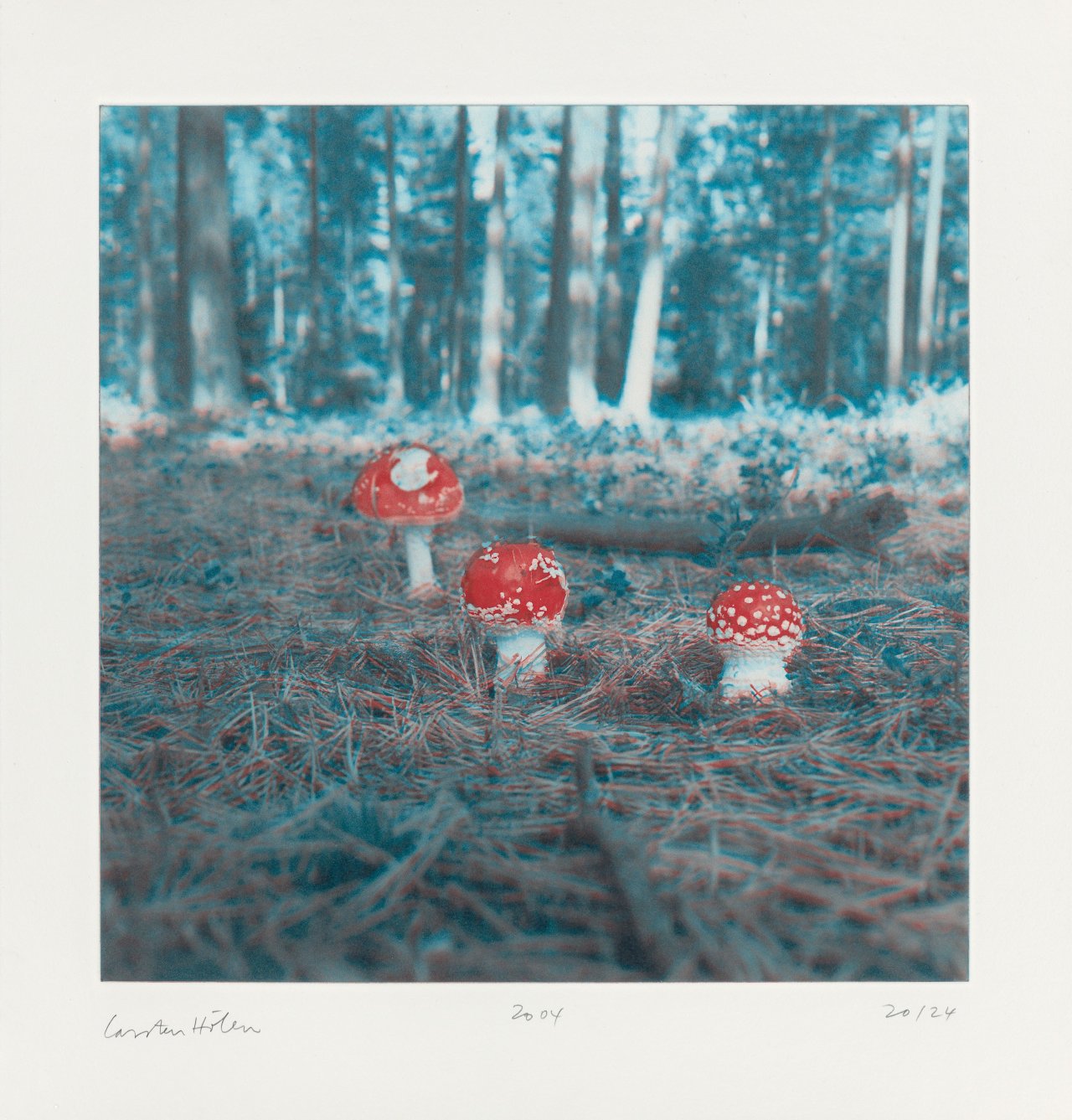 This picture shows the following artwork: Carsten Höller. From: ”Mushrooms”. 2004.