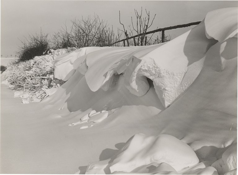 Auf diesem Bild ist das folgende Kunstwerk zu sehen: Albert Renger-Patzsch. Schnee. Vor 1953.