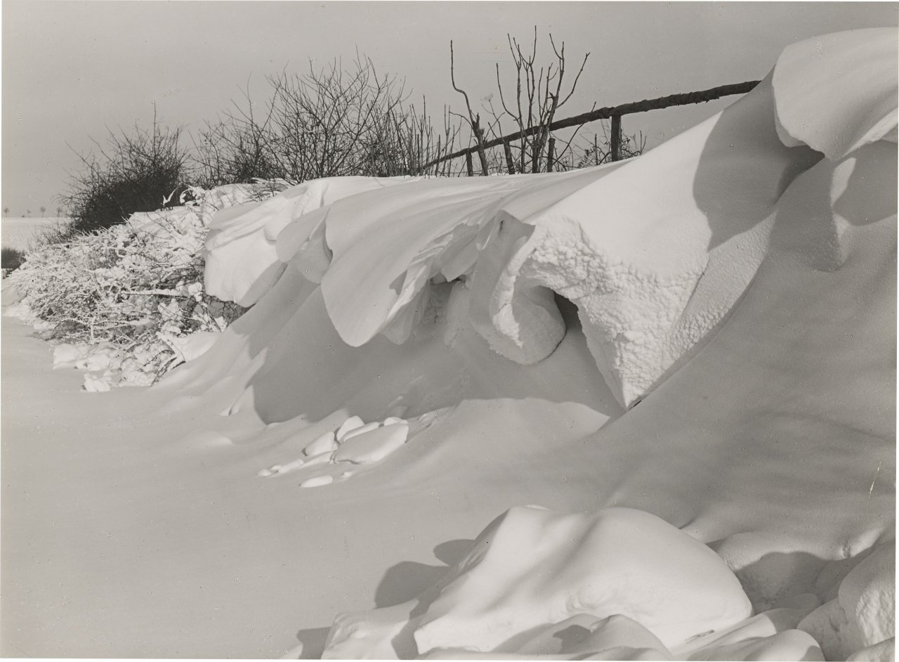 Auf diesem Bild ist das folgende Kunstwerk zu sehen: Albert Renger-Patzsch. Schnee. Vor 1953.