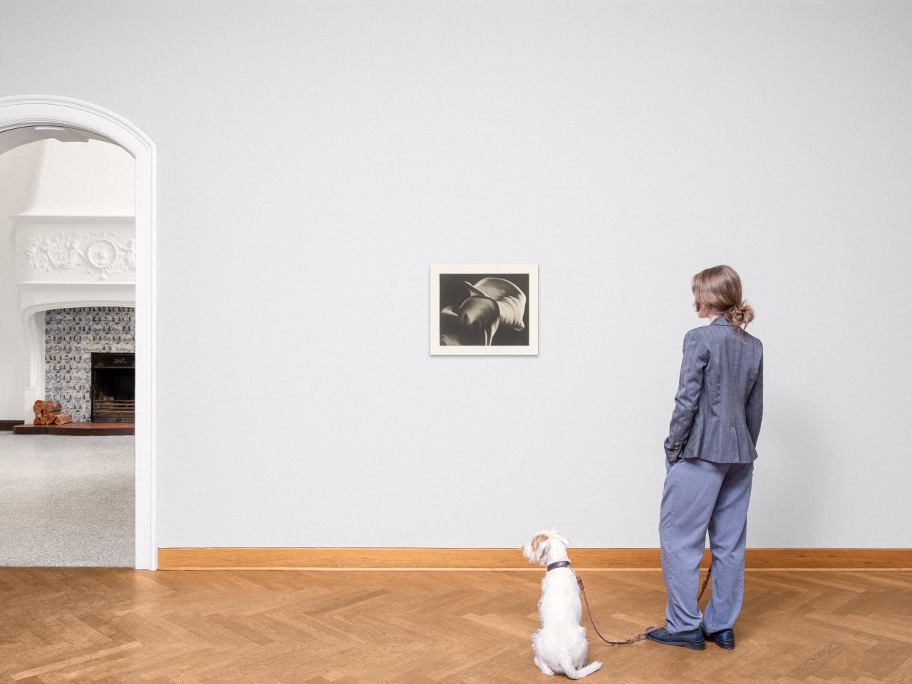 This picture shows the following artwork: Horst P. Horst (i.e. Horst Paul Albert Bohrmann). Calla Aethiopica. 1945.