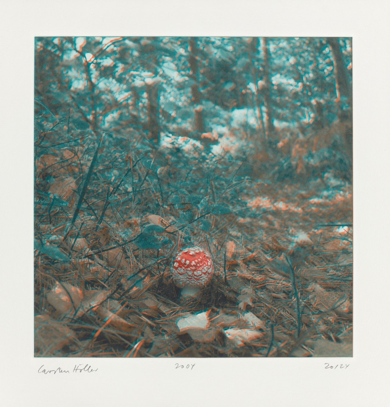 This picture shows the following artwork: Carsten Höller. From: ”Mushrooms”. 2004.