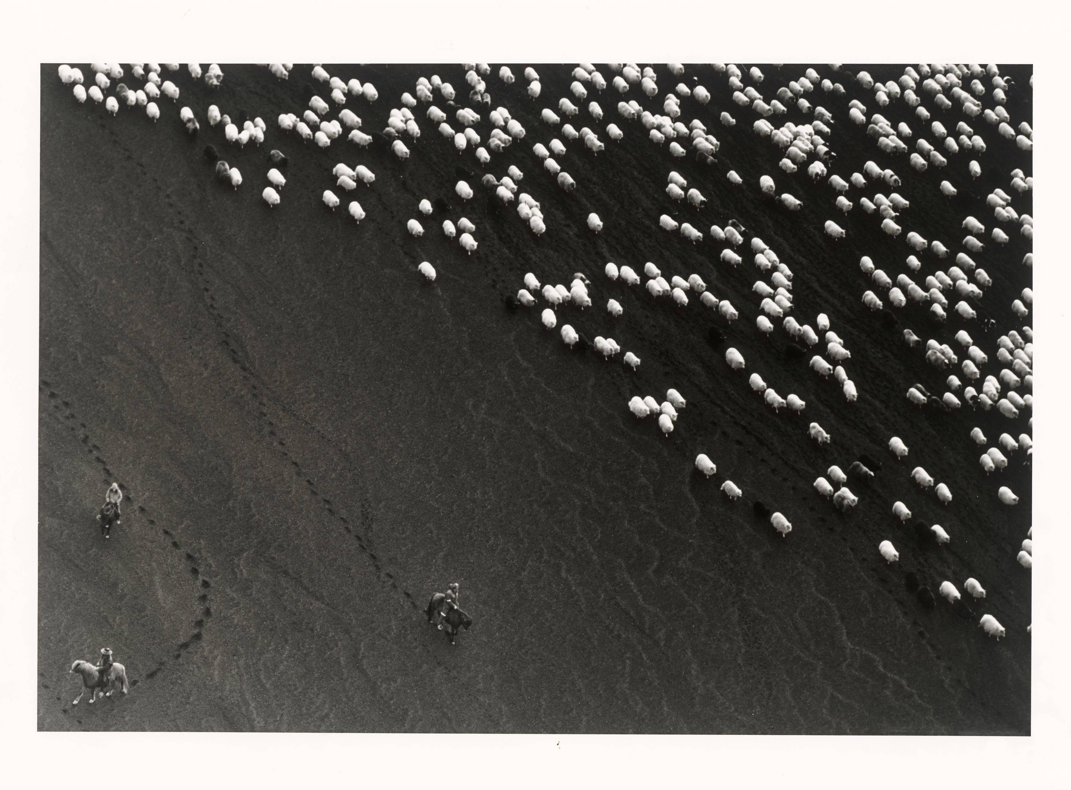 This picture shows the following artwork: Ragnar Axelsson. ”Autumn Round up – Iceland”. 2005.