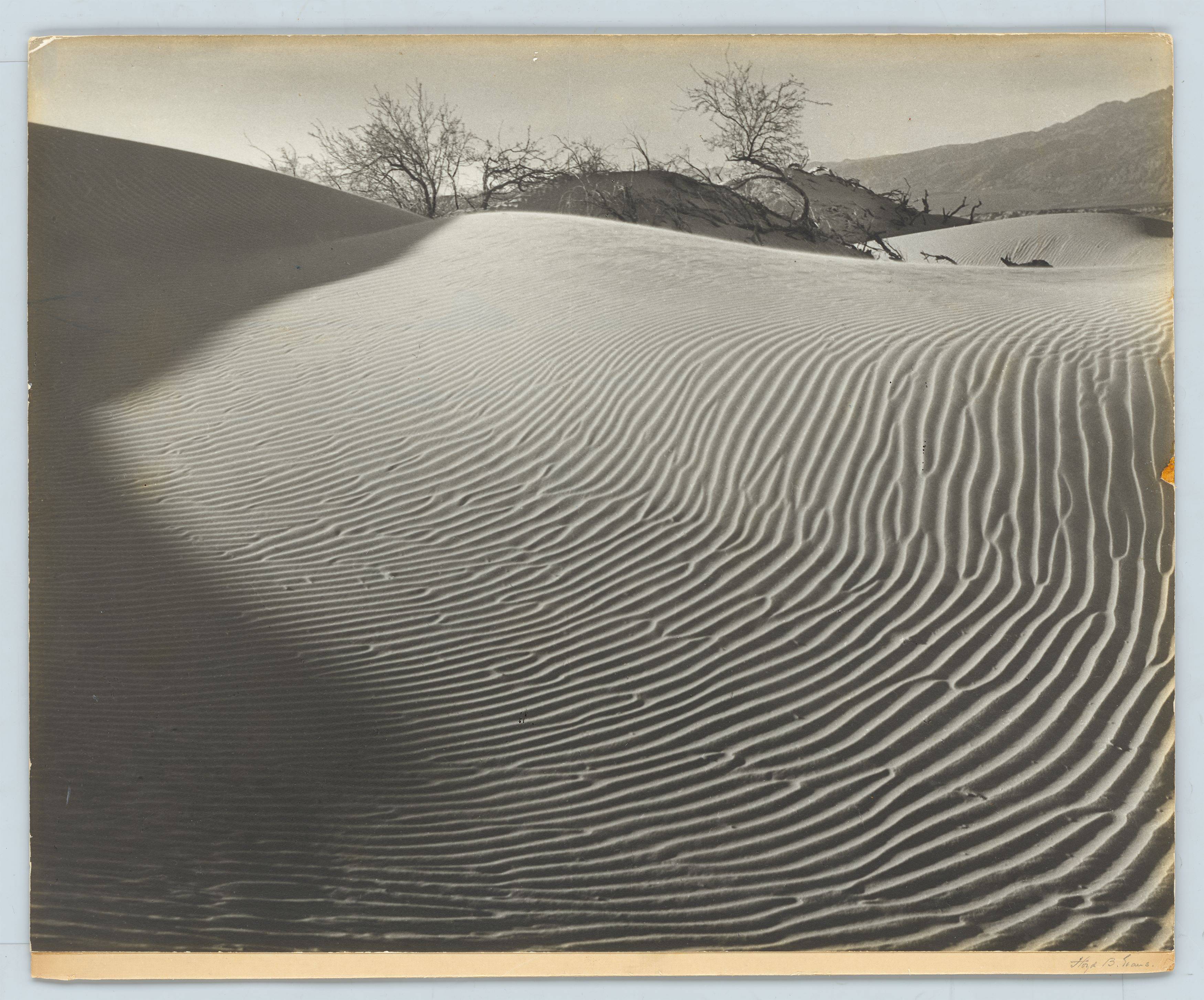 This picture shows the following artwork: Floyd Butler Evans. ”Nature's Labyrinth”. Circa 1940.