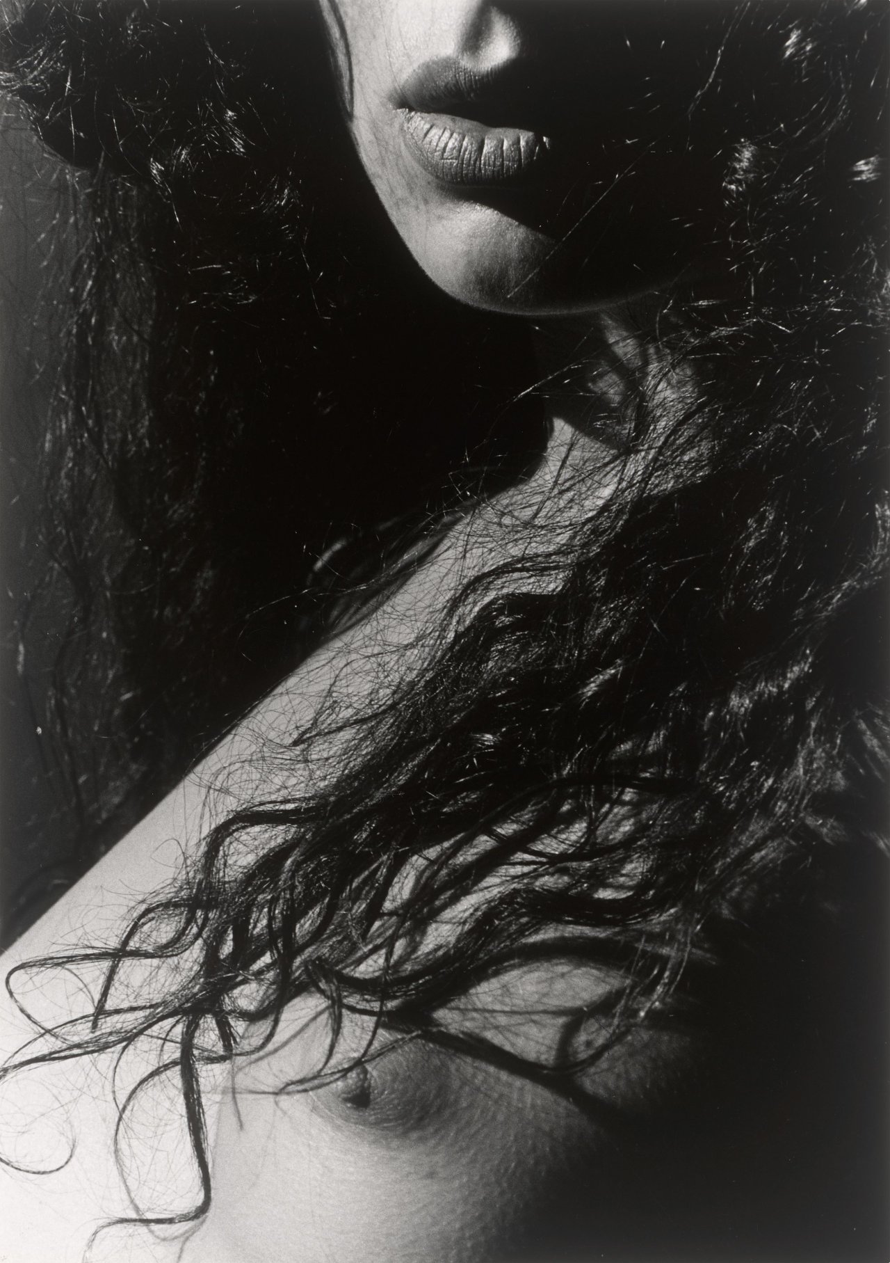 This picture shows the following artwork: Lucien Clergue. ”Hommage à Diana, M. Maritima”. 1993.