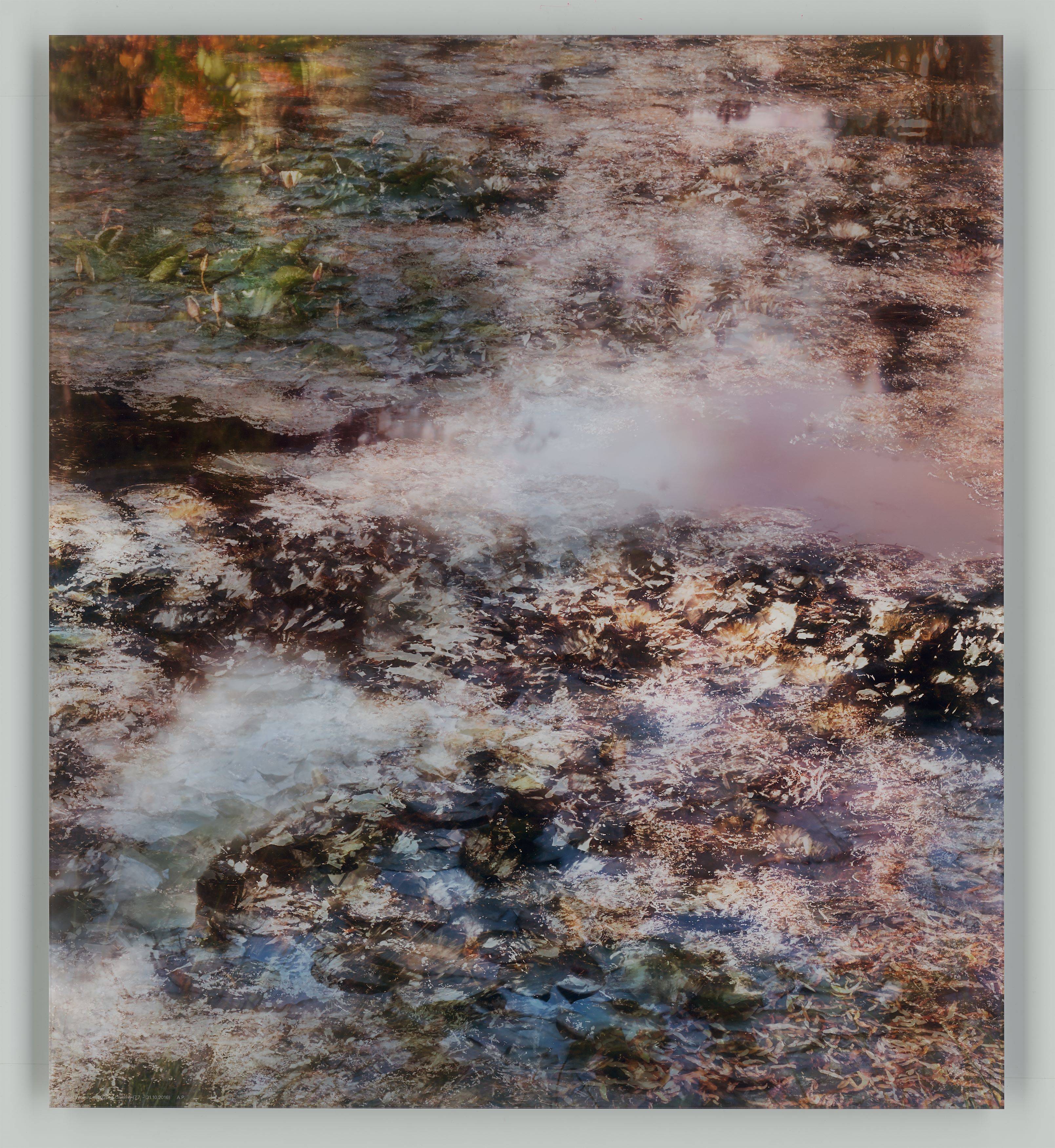 Auf diesem Bild ist das folgende Kunstwerk zu sehen: Michael Wesely. „Giverny (7.7.-31.10.2016)“.