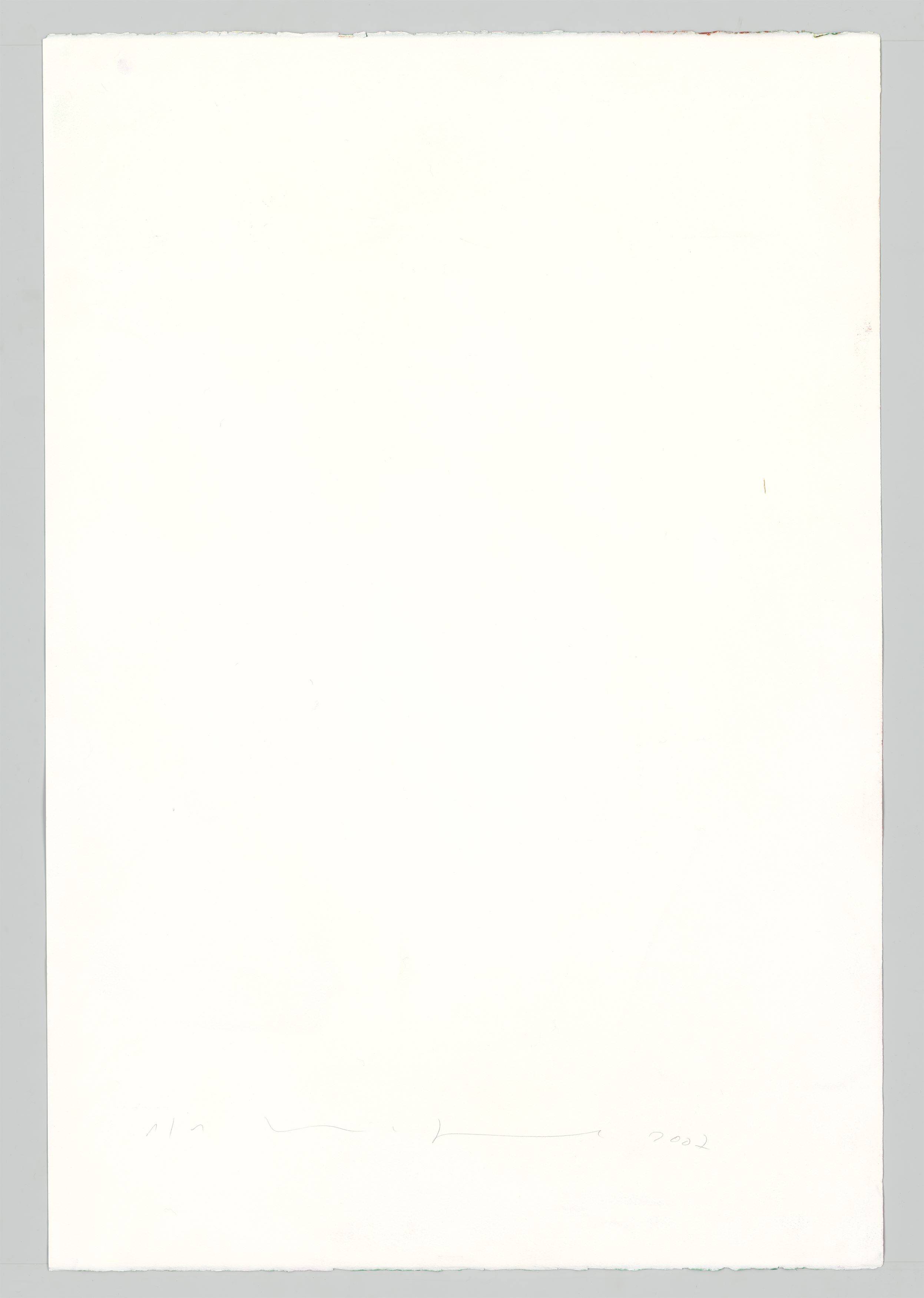 Auf diesem Bild ist das folgende Kunstwerk zu sehen: Katharina Grosse. Ohne Titel. 2007.