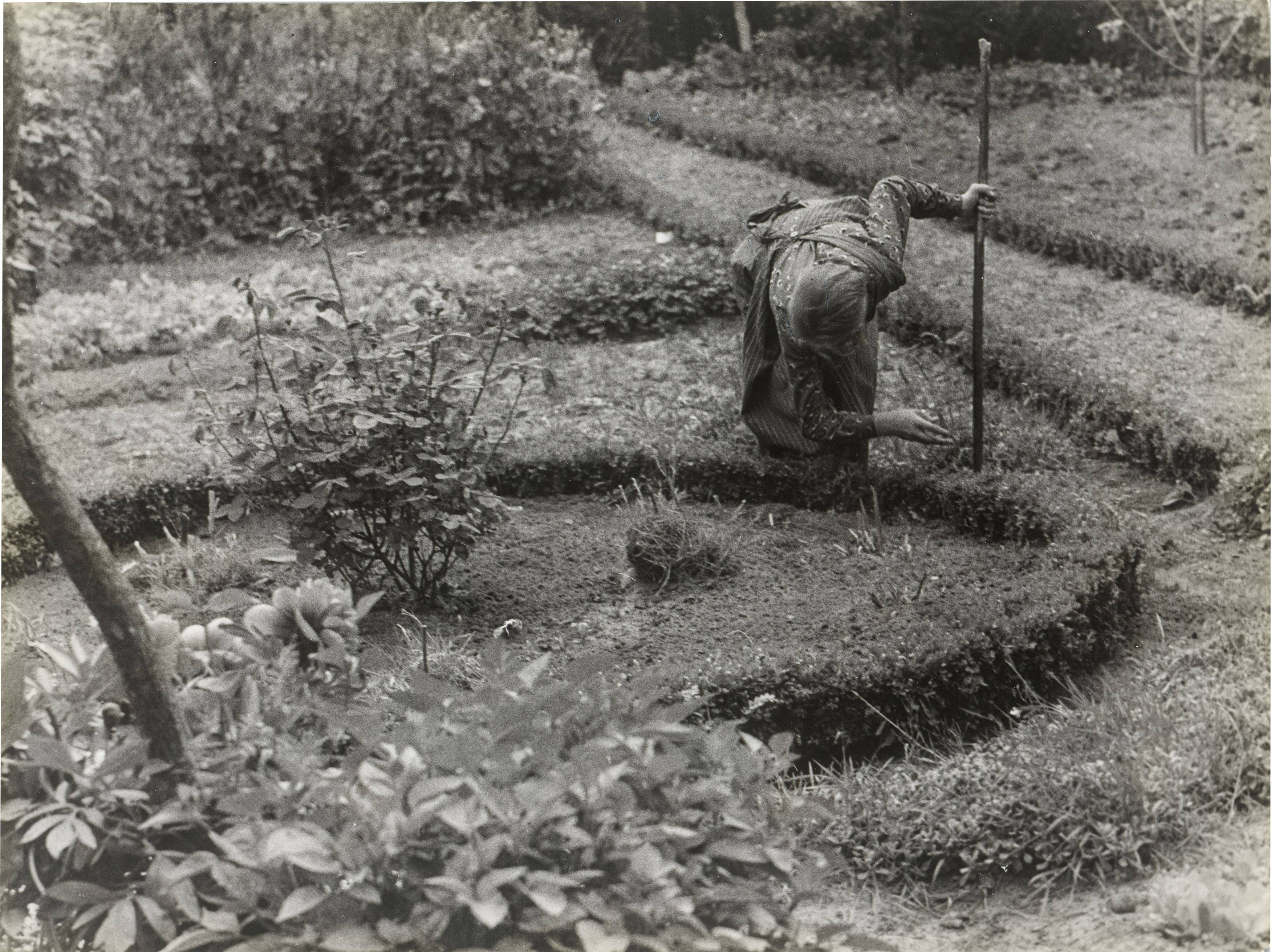 Auf diesem Bild ist das folgende Kunstwerk zu sehen: Raoul Hausmann. „The Gardener“. 1950.