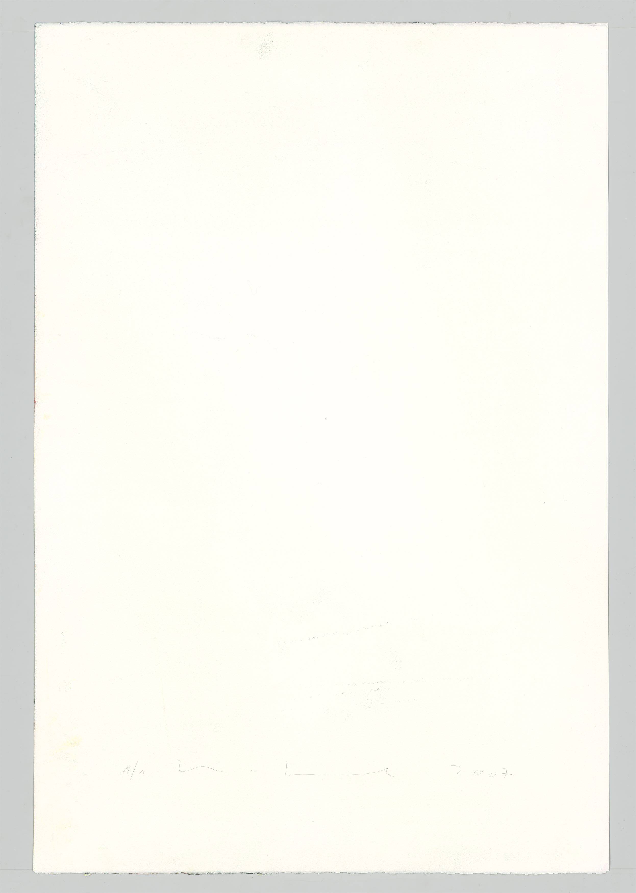 This picture shows the following artwork: Katharina Grosse. Untitled. 2007.
