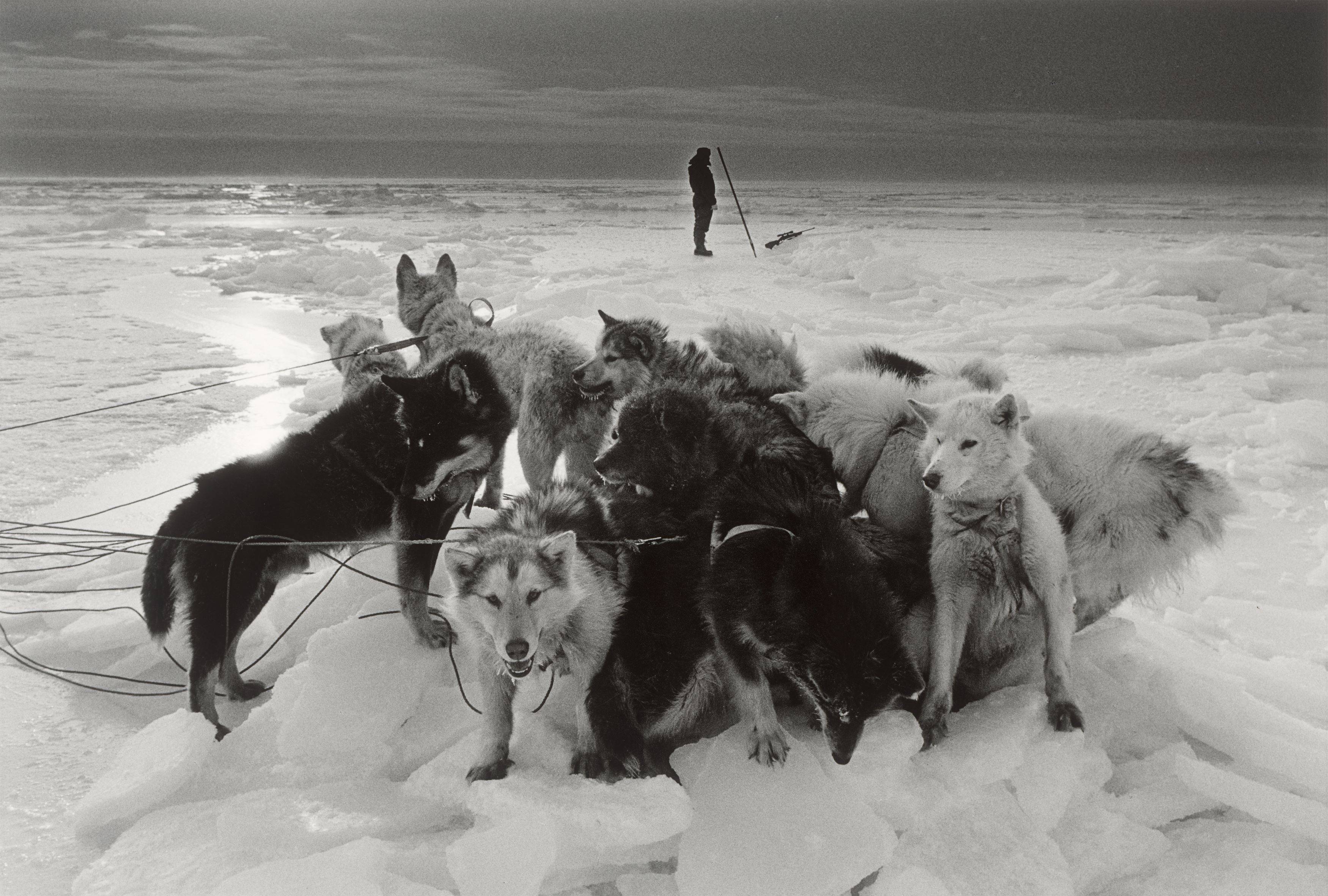 This picture shows the following artwork: Ragnar Axelsson. ”Hunter – Greenland”. 1995.