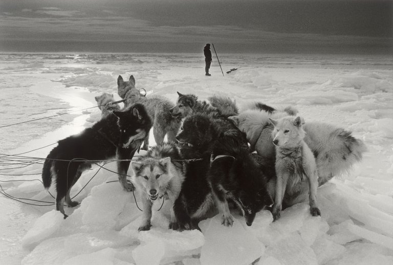 This picture shows the following artwork: Ragnar Axelsson. ”Hunter – Greenland”. 1995.