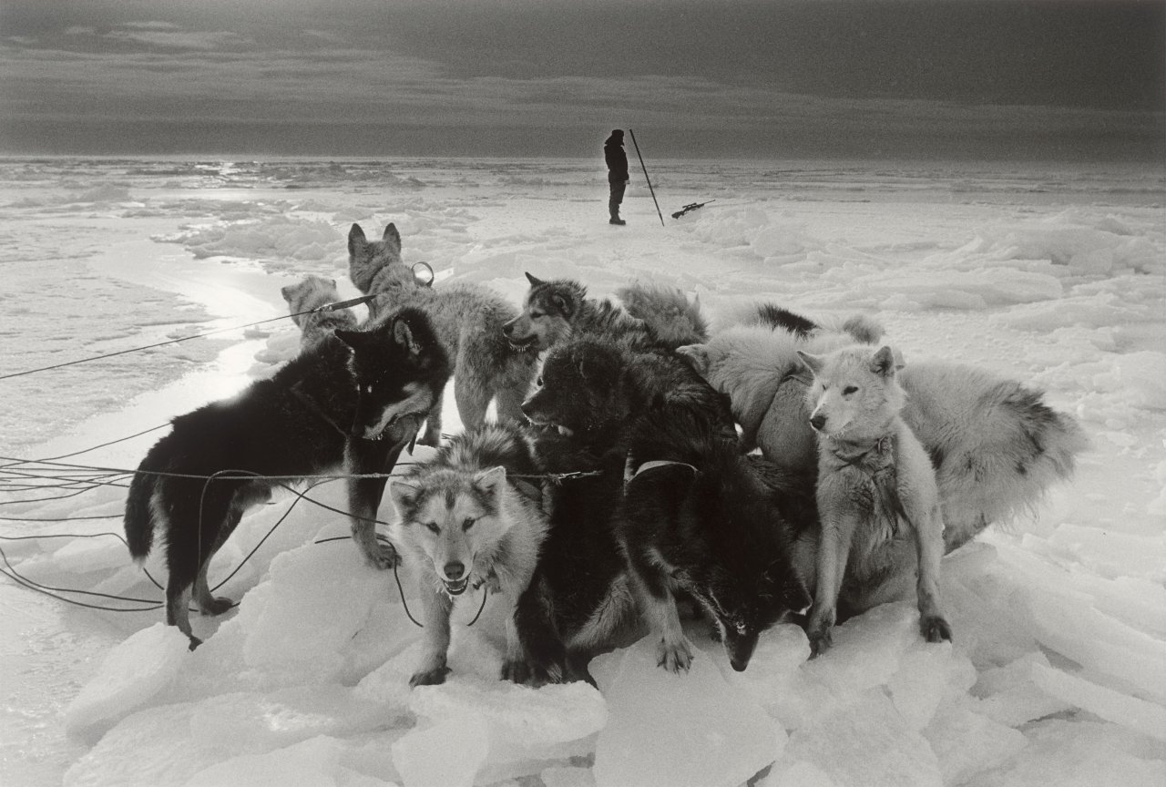 This picture shows the following artwork: Ragnar Axelsson. ”Hunter – Greenland”. 1995.