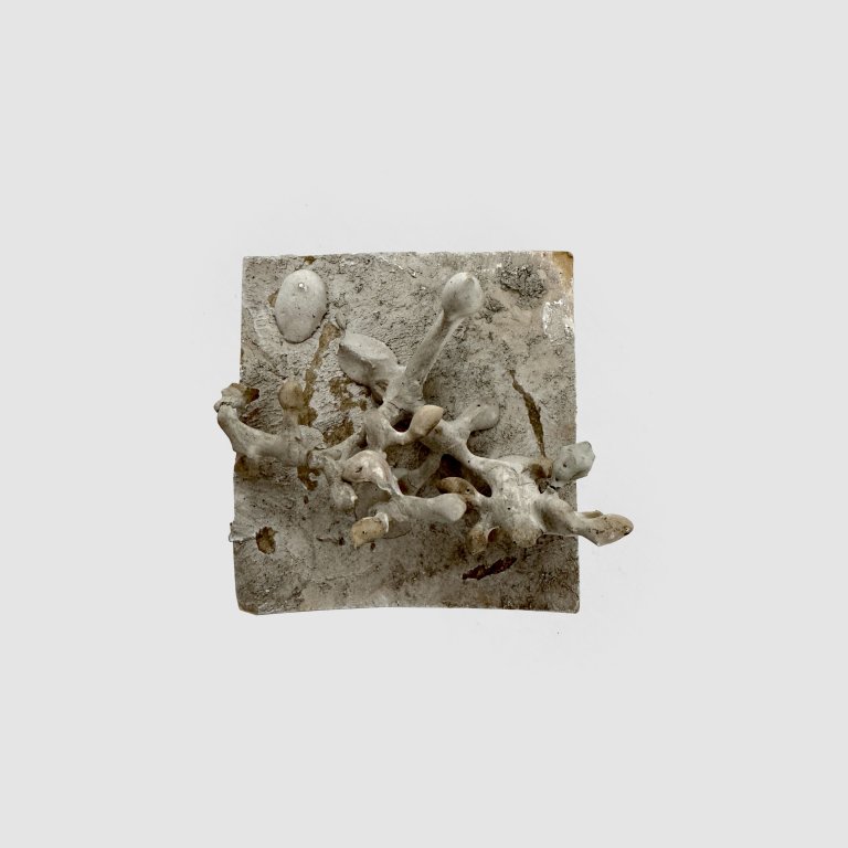 Auf diesem Bild ist das folgende Kunstwerk zu sehen: Hermann Glöckner. Ein Weintraubenstiel auf quadratischer Platte, gipsübergossen. 1960.