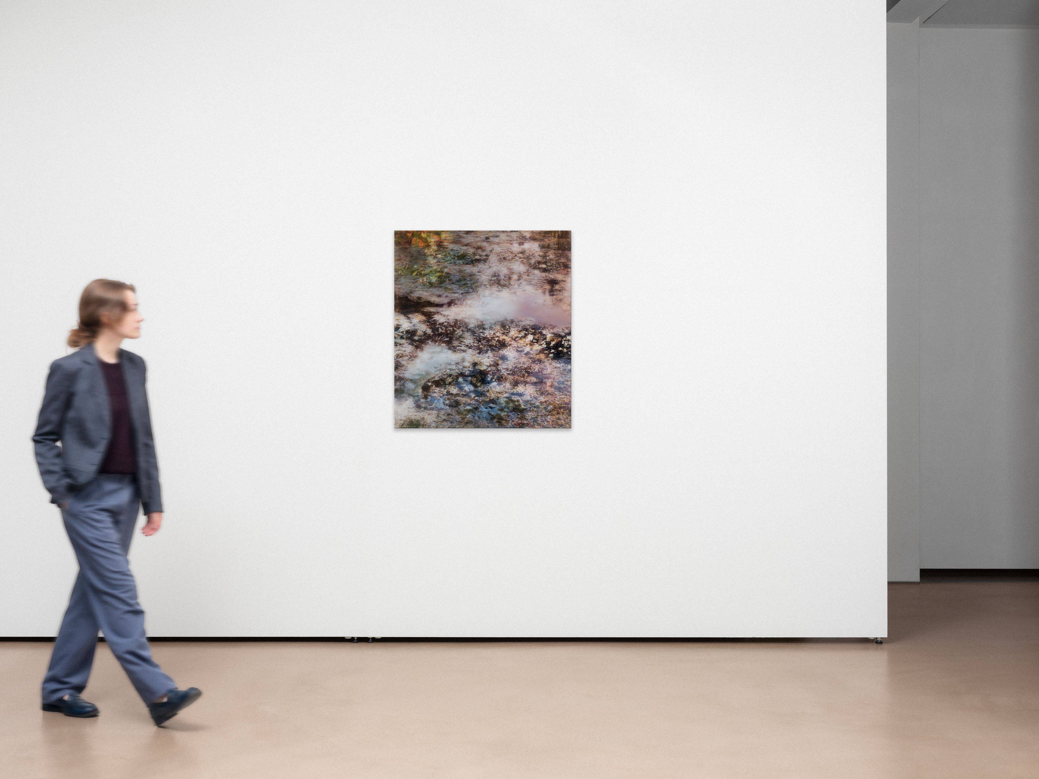 Auf diesem Bild ist das folgende Kunstwerk zu sehen: Michael Wesely. „Giverny (7.7.-31.10.2016)“.