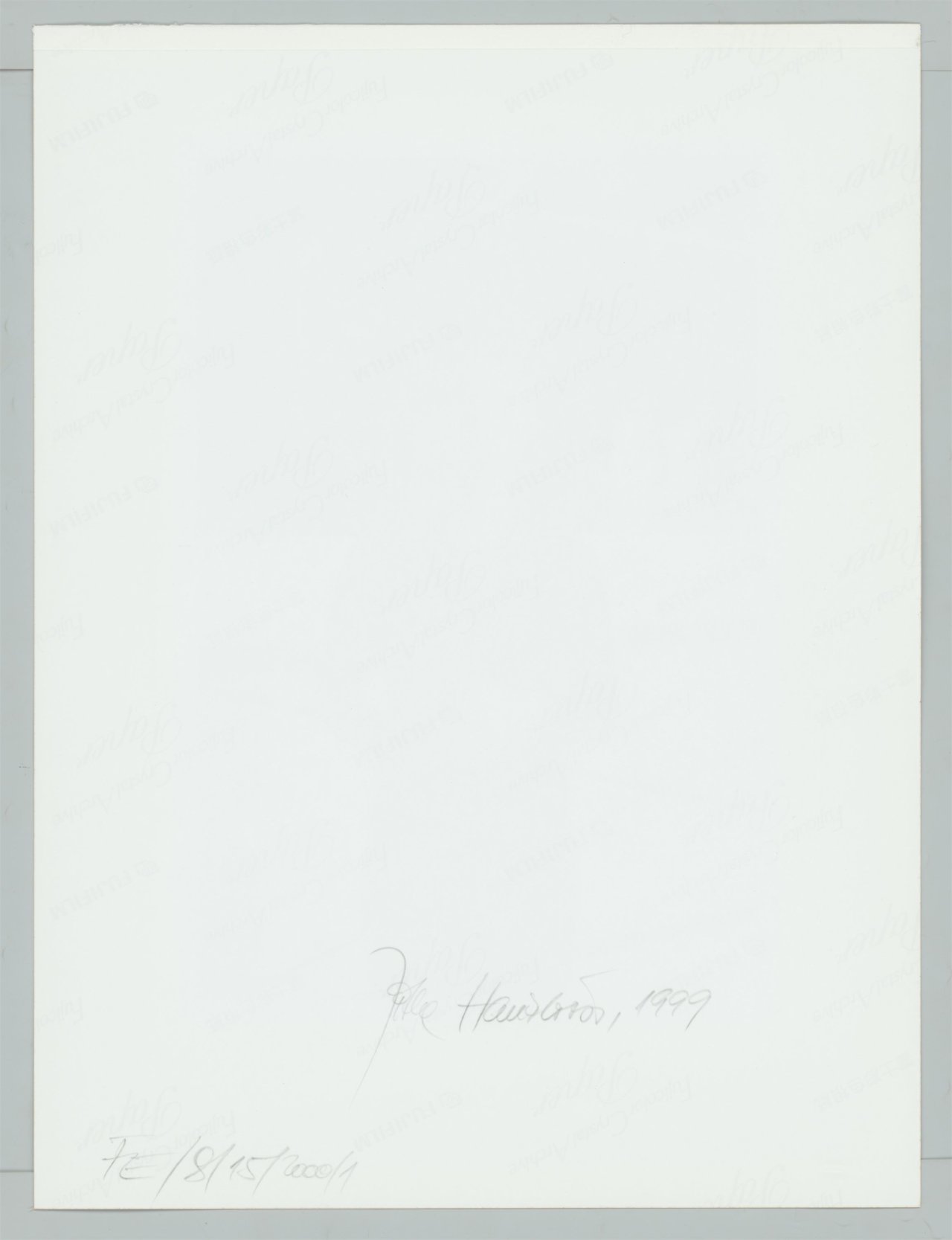 This picture shows the following artwork: Jitka Hanzlová. Cathanna, Uptown. From the series ”Female”, 1997–2000.