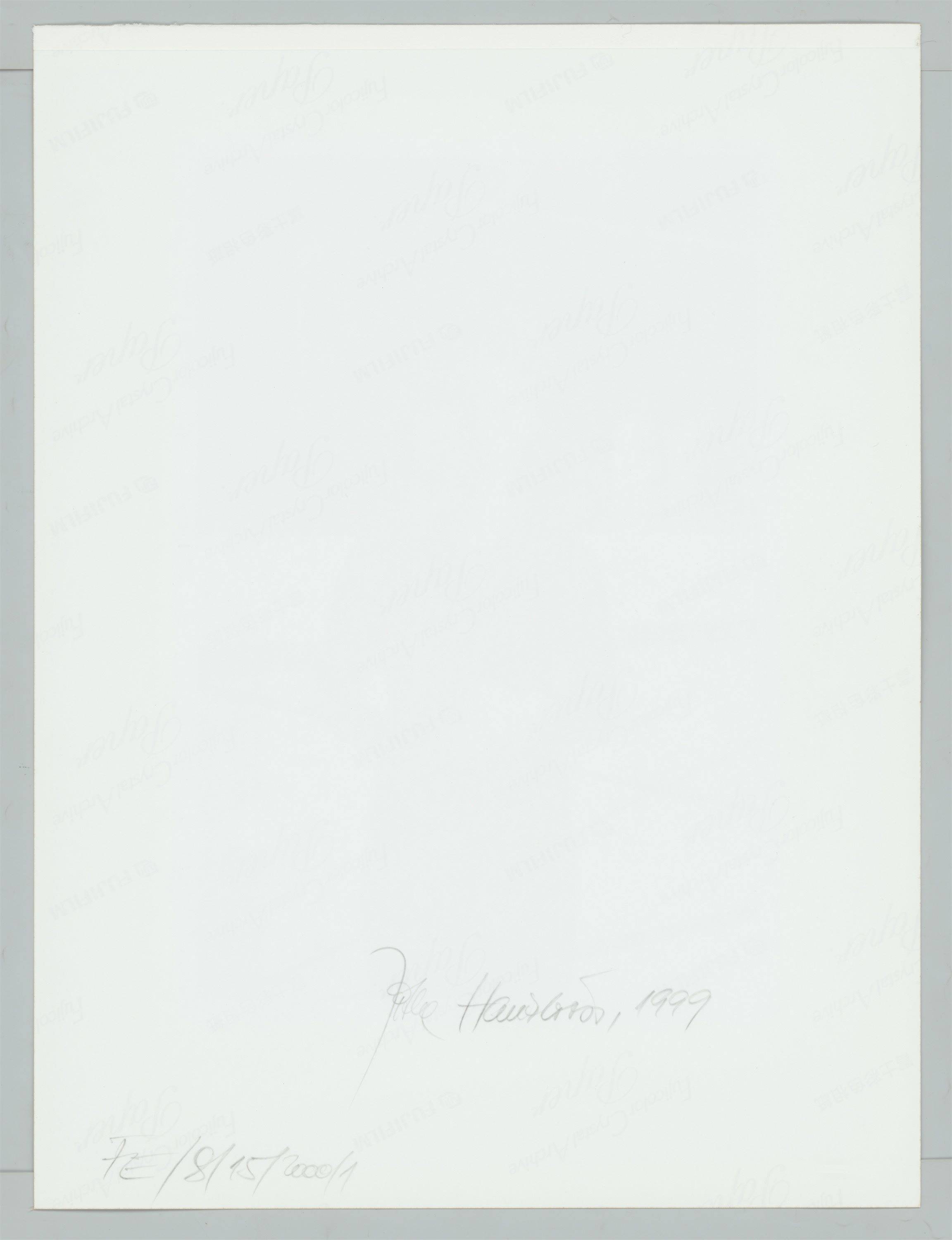 This picture shows the following artwork: Jitka Hanzlová. Cathanna, Uptown. From the series ”Female”, 1997–2000.