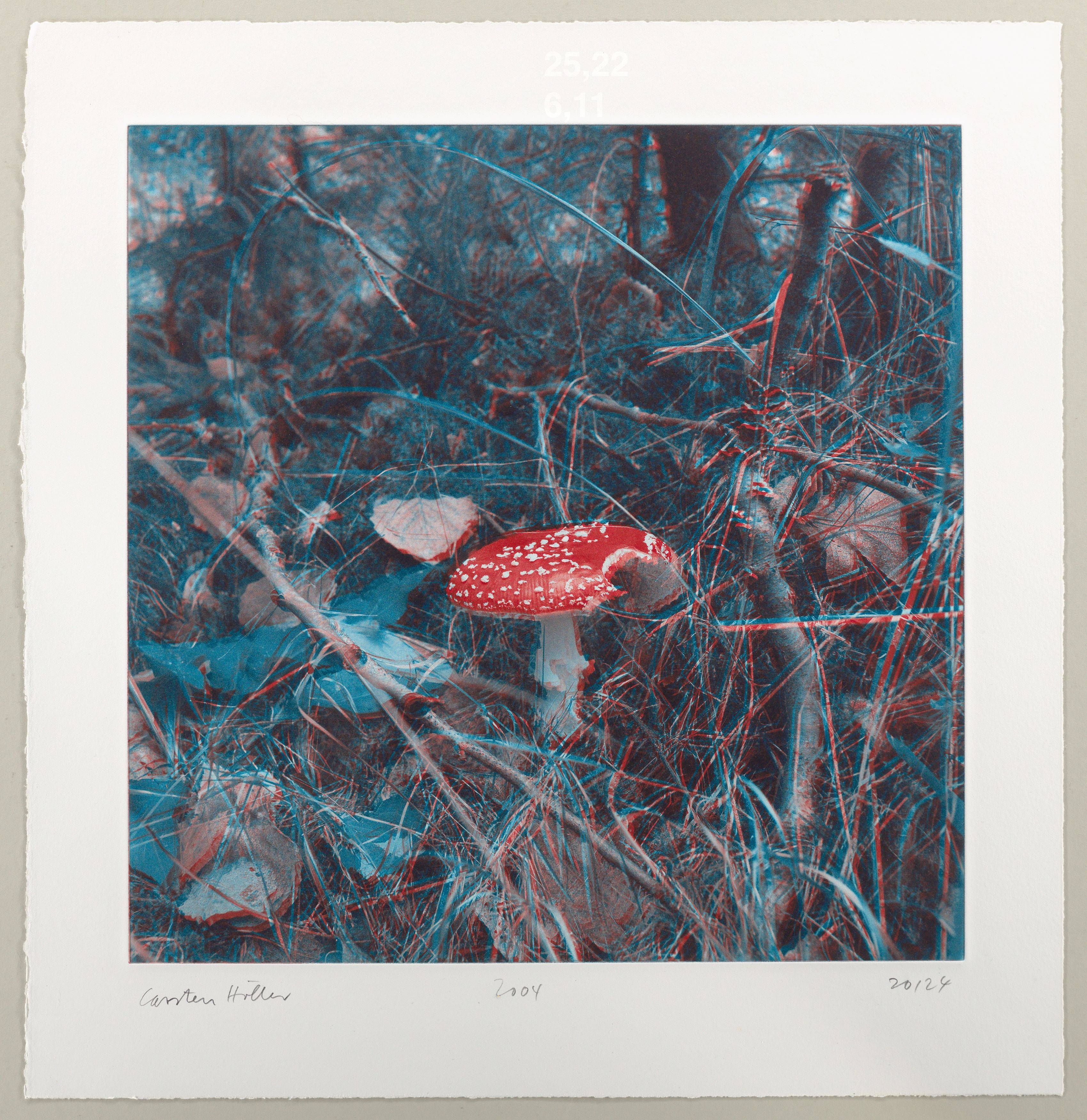 This picture shows the following artwork: Carsten Höller. From: ”Mushrooms”. 2004.