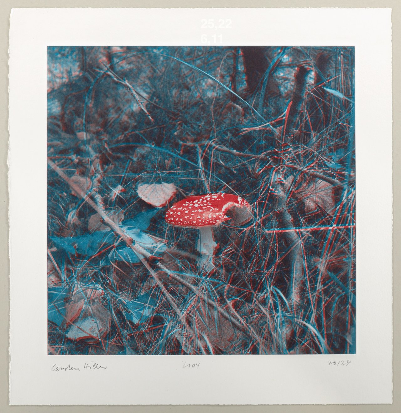 This picture shows the following artwork: Carsten Höller. From: ”Mushrooms”. 2004.