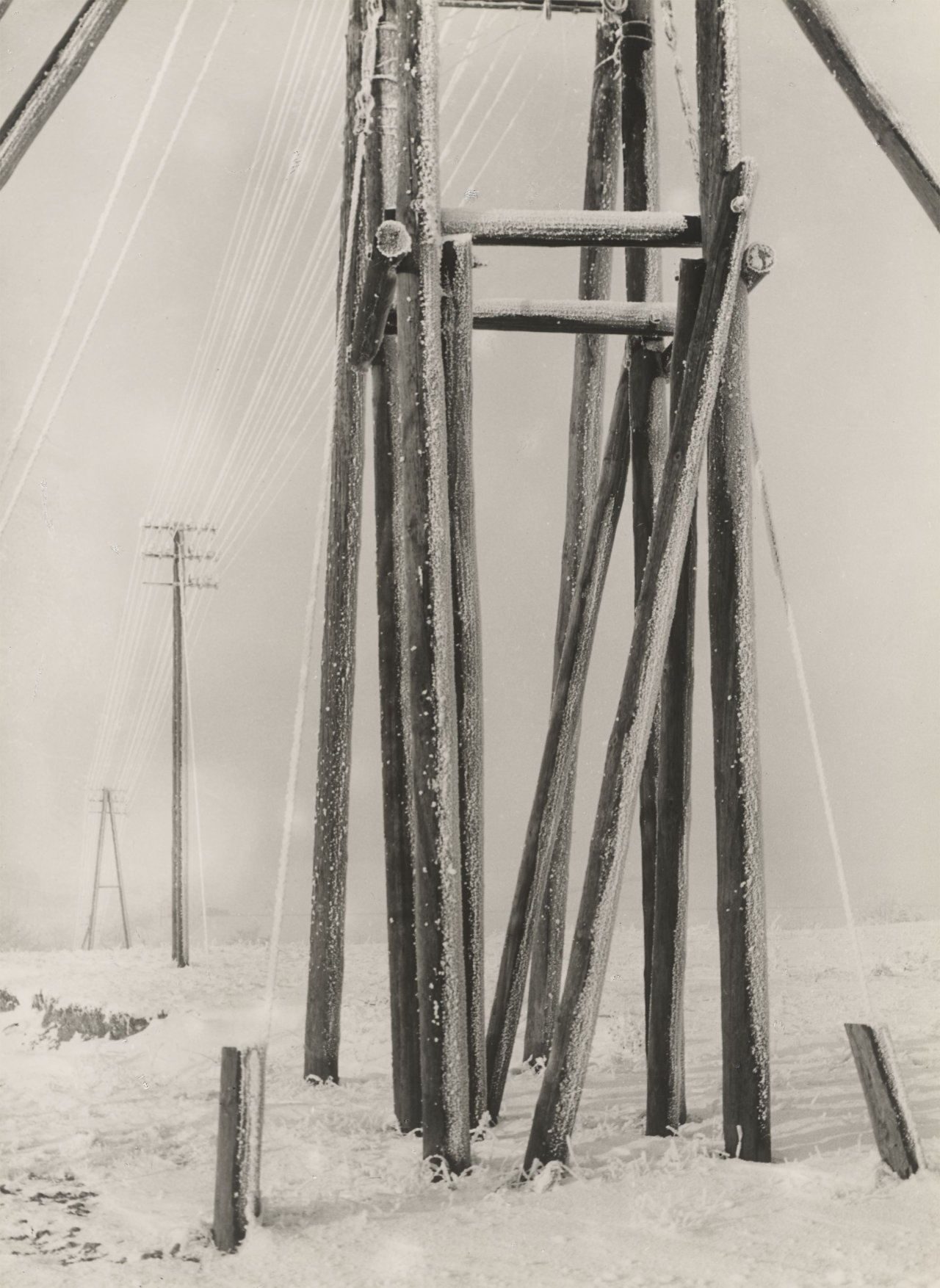 This picture shows the following artwork: Albert Renger-Patzsch. ”B[ei]/ Harzburg”. 1925.