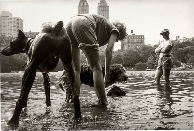 Auf diesem Bild ist das folgende Kunstwerk zu sehen: Ken Heyman. „Central Park, New York City“, aus der Serie „Hipshot“, 1984–1985.