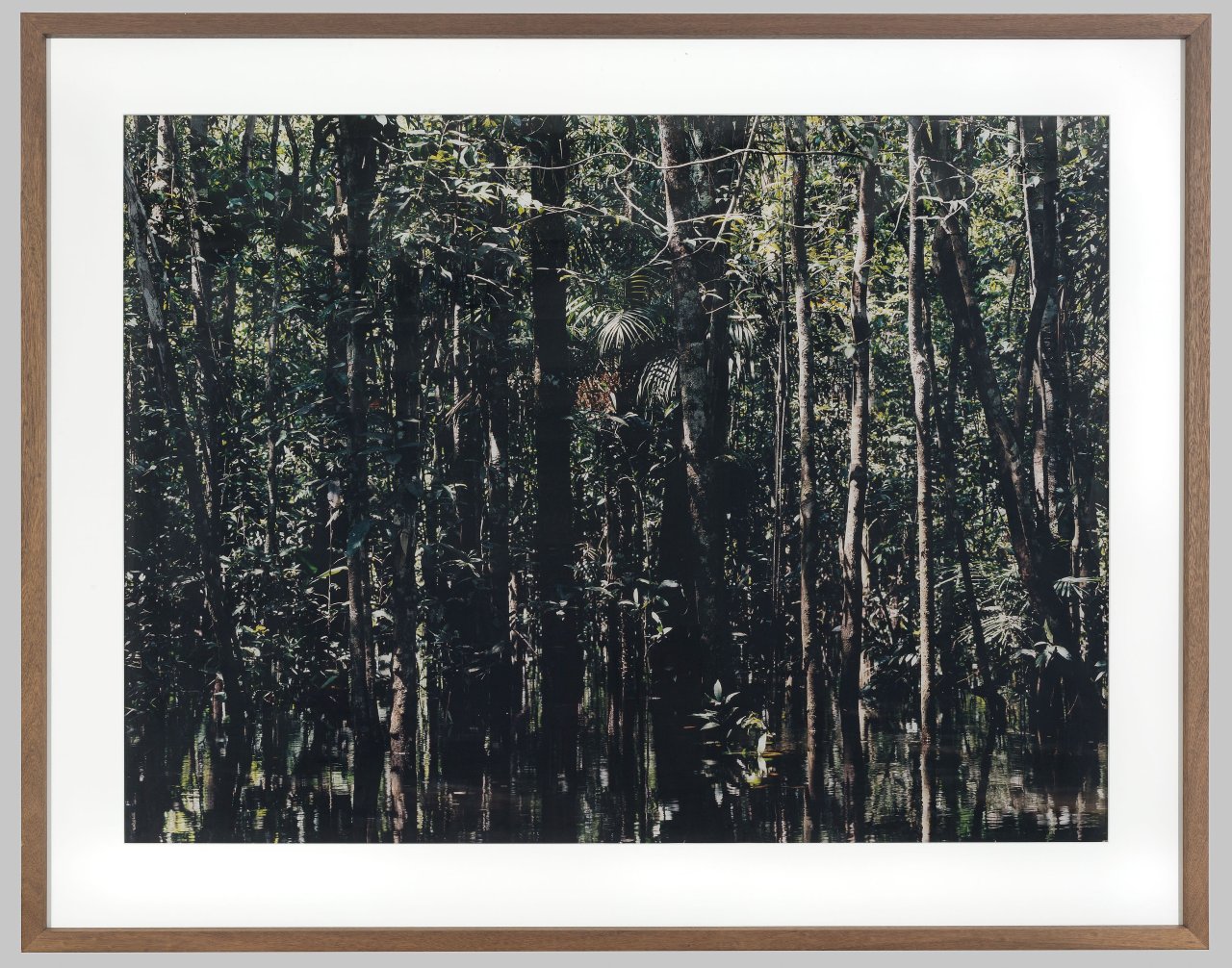 Auf diesem Bild ist das folgende Kunstwerk zu sehen: Axel Hütte. „Caño Tonino-1“. 2007.