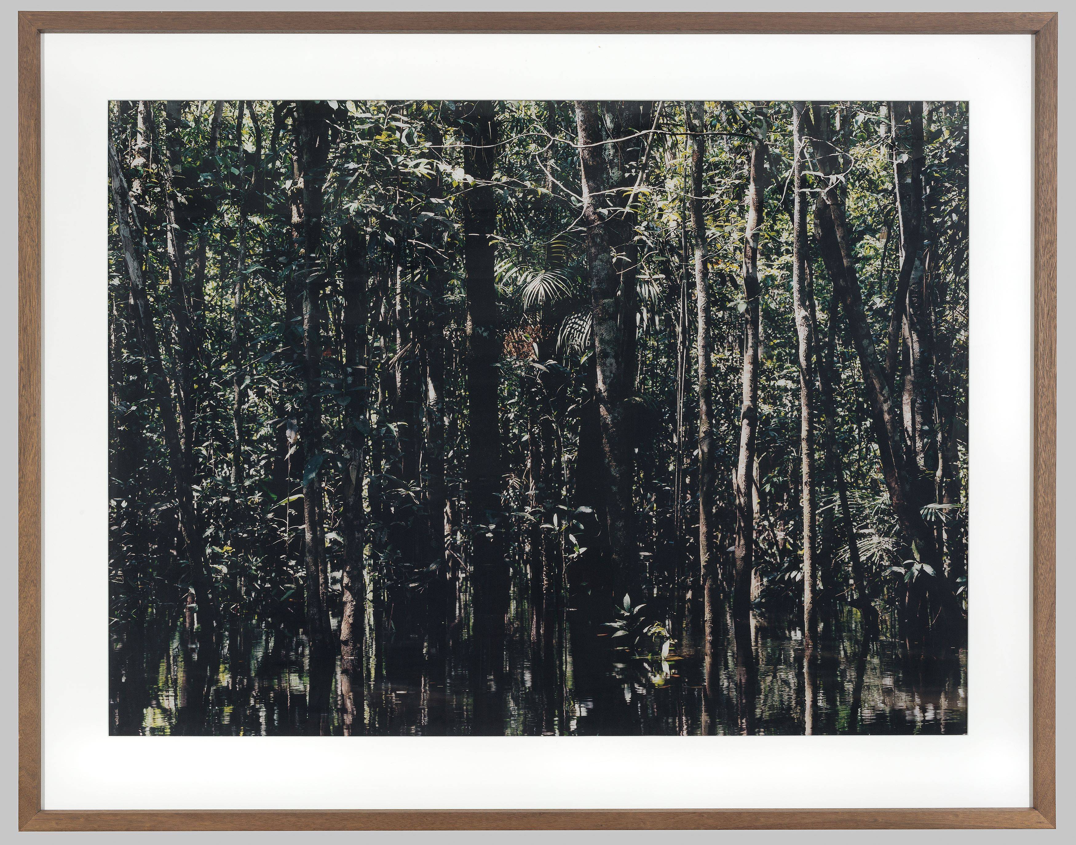 Auf diesem Bild ist das folgende Kunstwerk zu sehen: Axel Hütte. „Caño Tonino-1“. 2007.