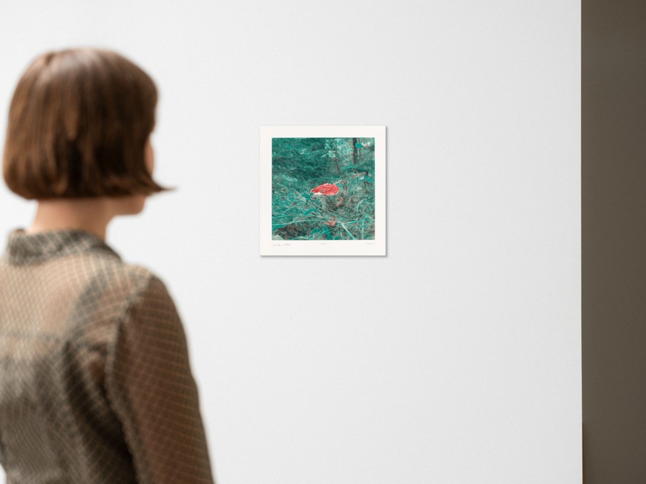 This picture shows the following artwork: Carsten Höller. From: ”Mushrooms”. 2004.