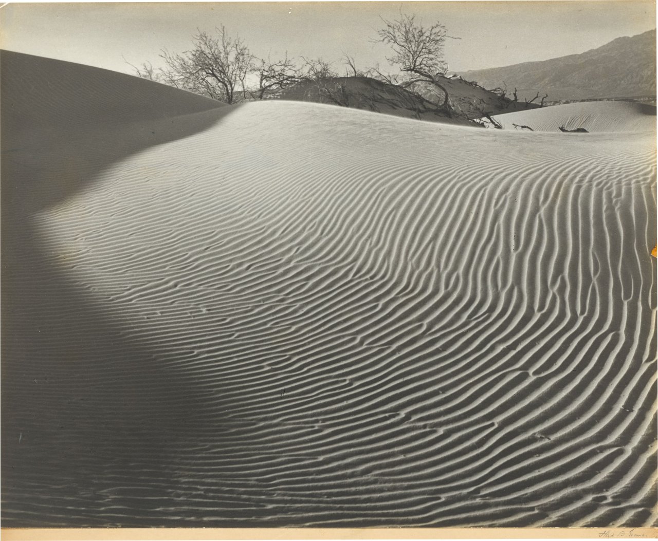 This picture shows the following artwork: Floyd Butler Evans. ”Nature's Labyrinth”. Circa 1940.