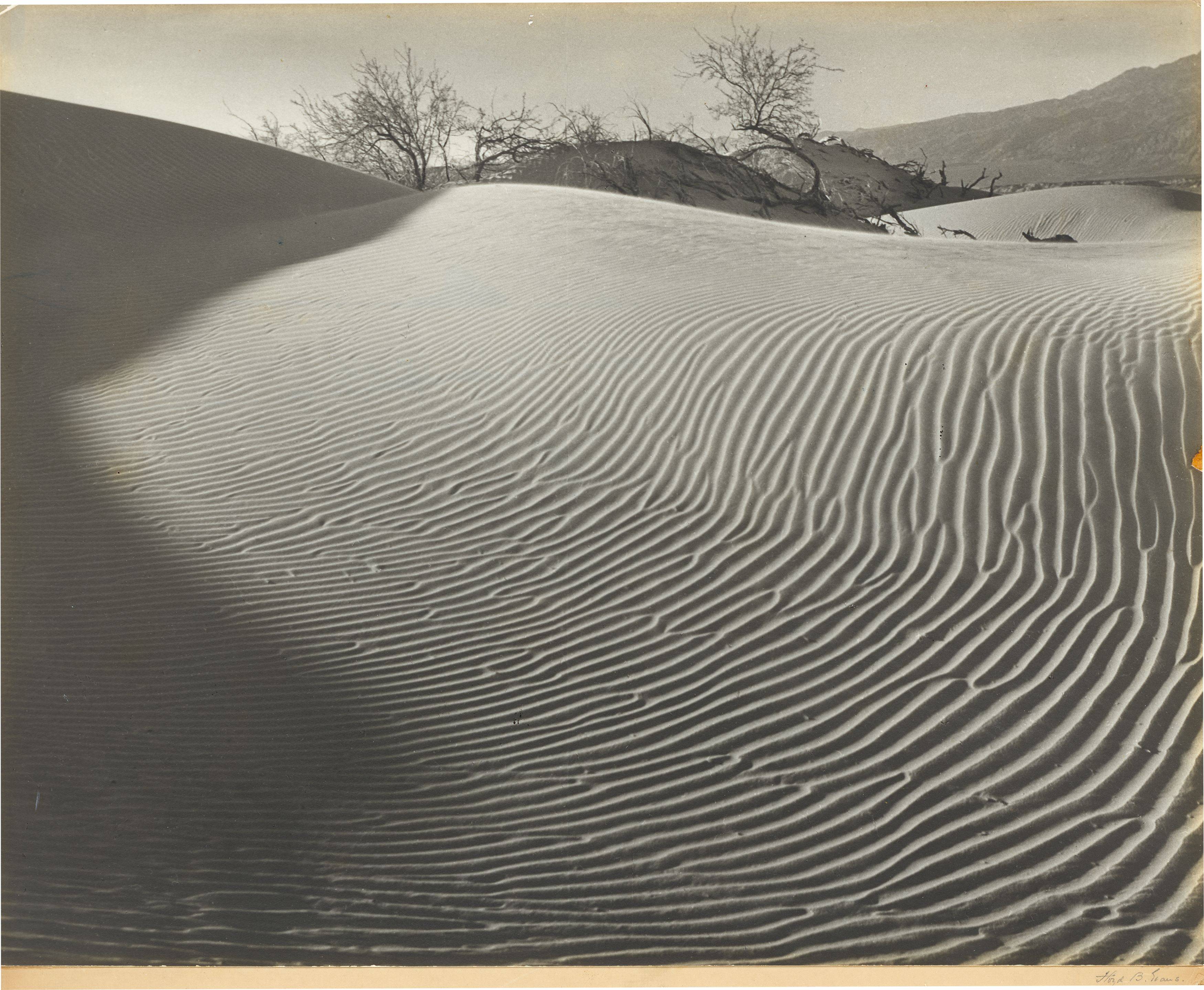 This picture shows the following artwork: Floyd Butler Evans. ”Nature's Labyrinth”. Circa 1940.