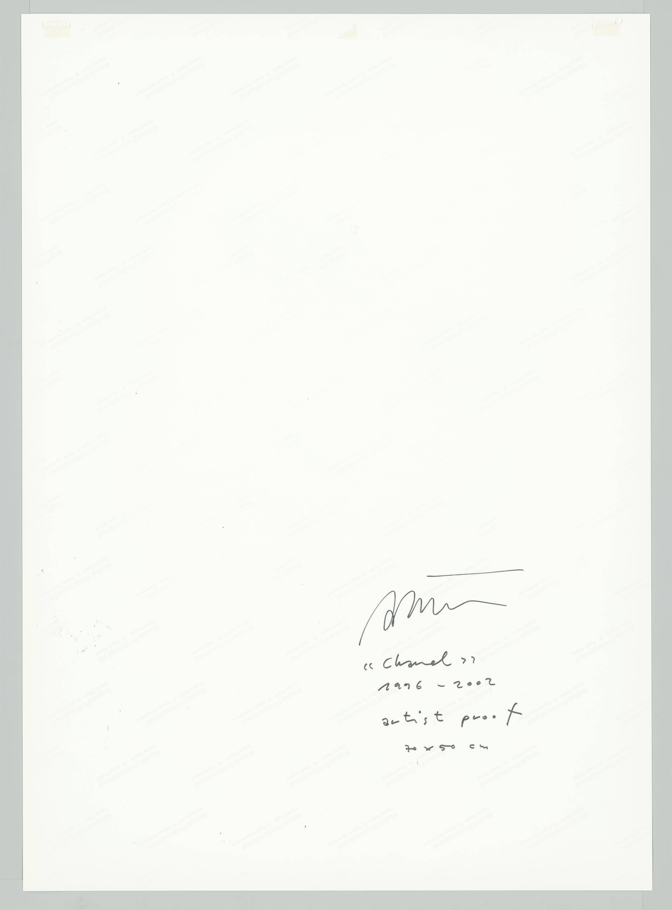 This picture shows the following artwork: Daniele Buetti. ”Chanel”, from the series ”Looking for Love”. 1996-2002.