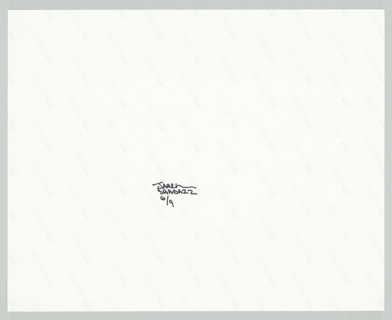 Auf diesem Bild ist das folgende Kunstwerk zu sehen: Jamel Shabazz. Flying High, Brooklyn, NYC. 1982.