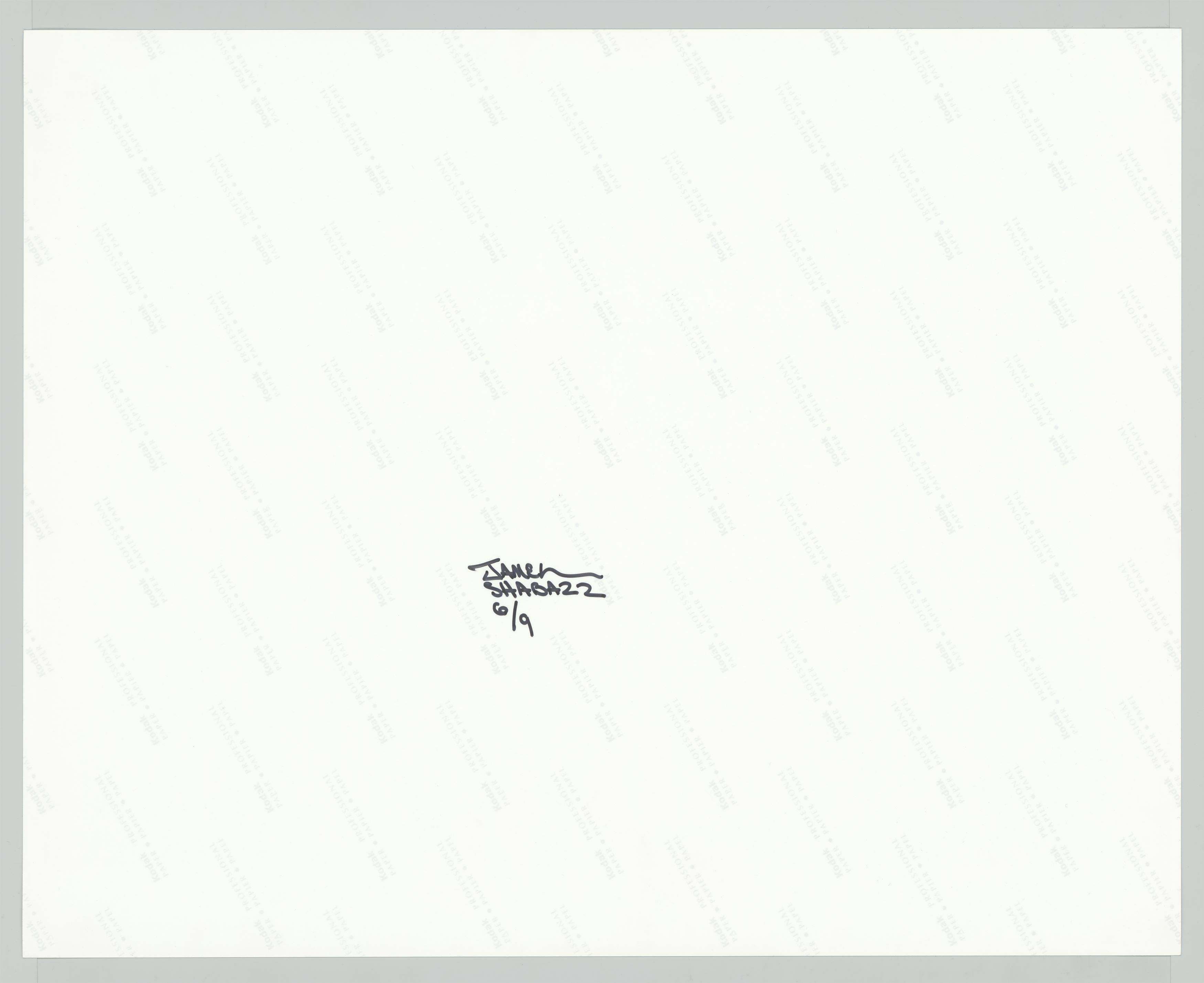 Auf diesem Bild ist das folgende Kunstwerk zu sehen: Jamel Shabazz. Flying High, Brooklyn, NYC. 1982.