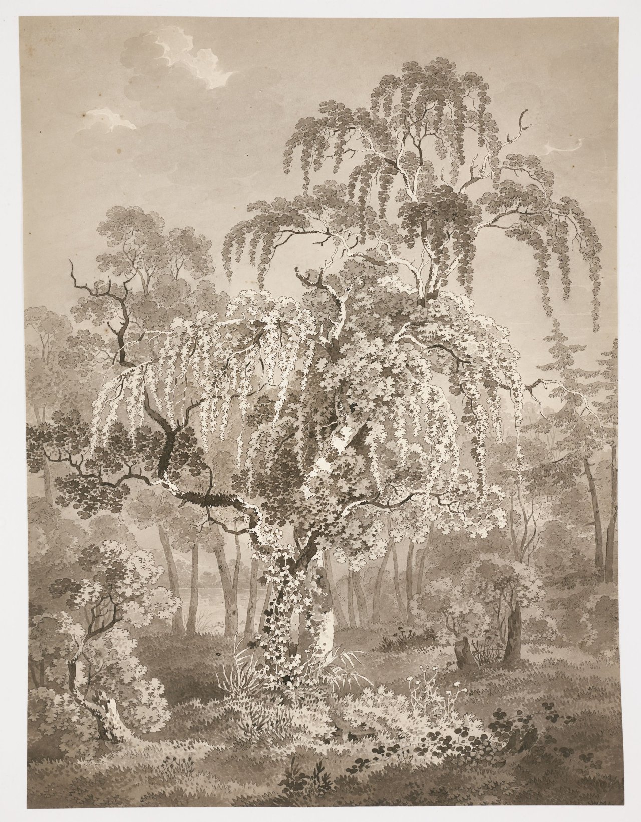 This picture shows the following artwork: Adrian Zingg. Wooded area with small pond.