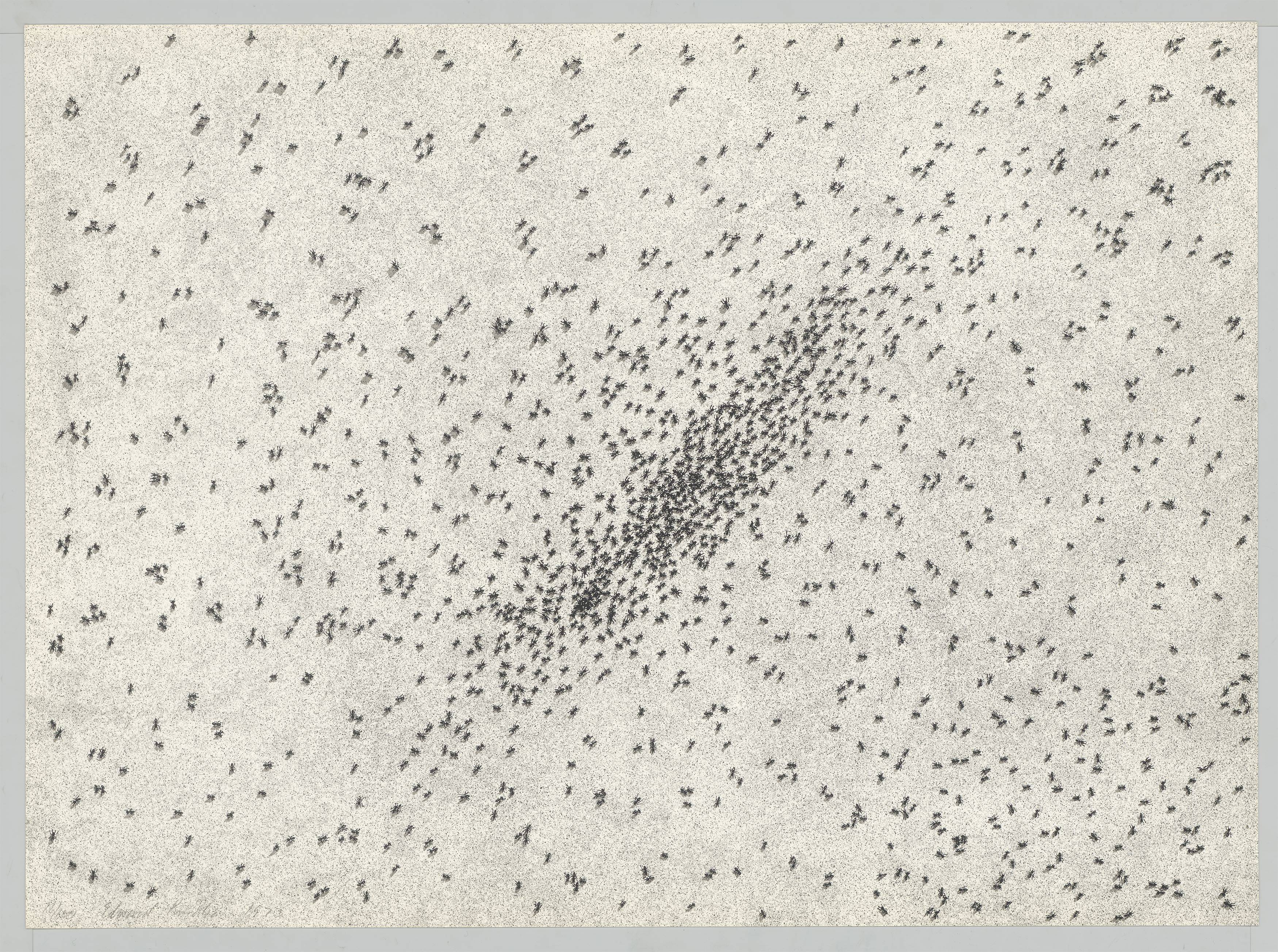 Auf diesem Bild ist das folgende Kunstwerk zu sehen: Ed Ruscha. „Insect Slant“. 1973.