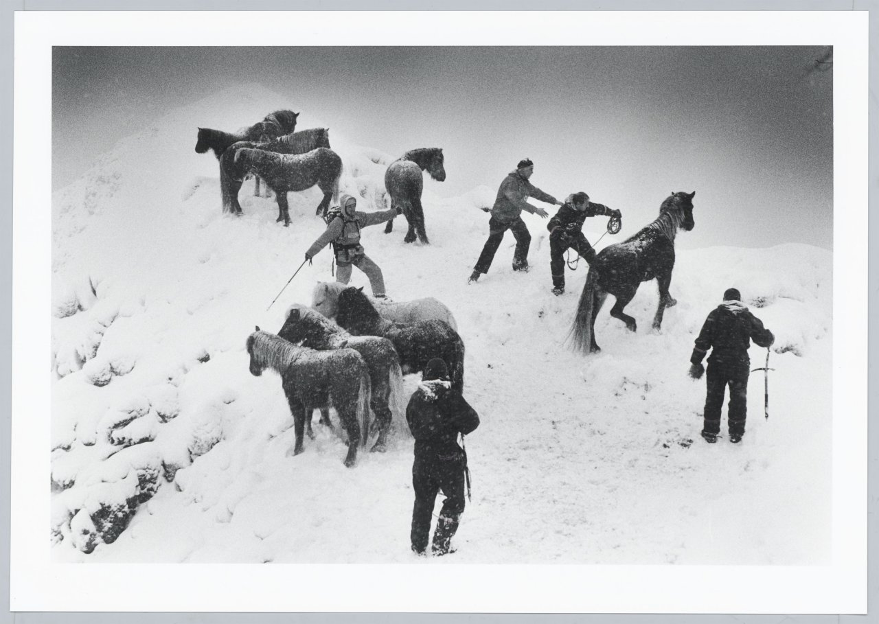 This picture shows the following artwork: Ragnar Axelsson. ”Horse rescue – Iceland”. 1995.