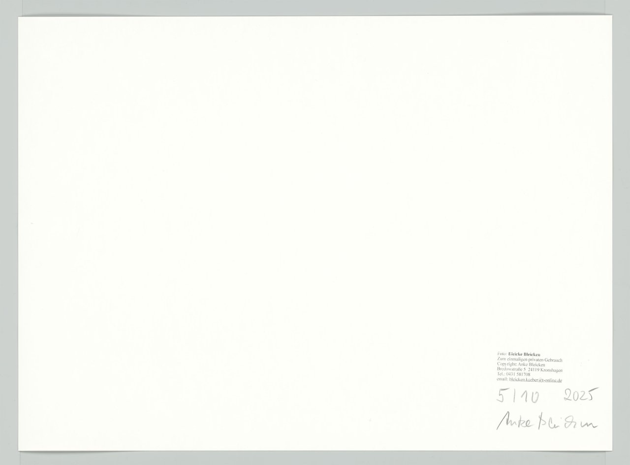 This picture shows the following artwork: Bleicke Bleicken. Riders in the Surf, Kampen/Sylt. 1925.