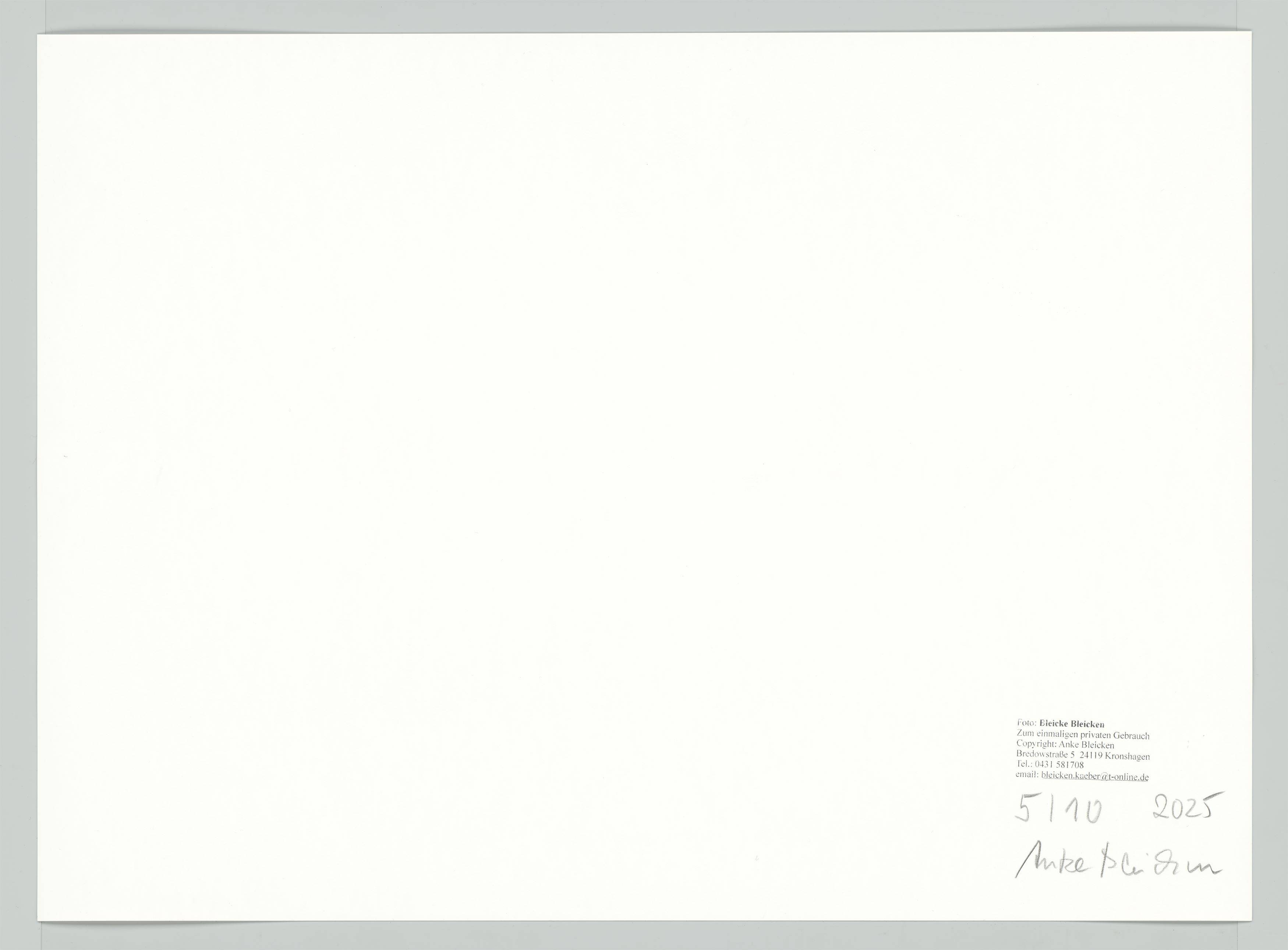 This picture shows the following artwork: Bleicke Bleicken. Riders in the Surf, Kampen/Sylt. 1925.