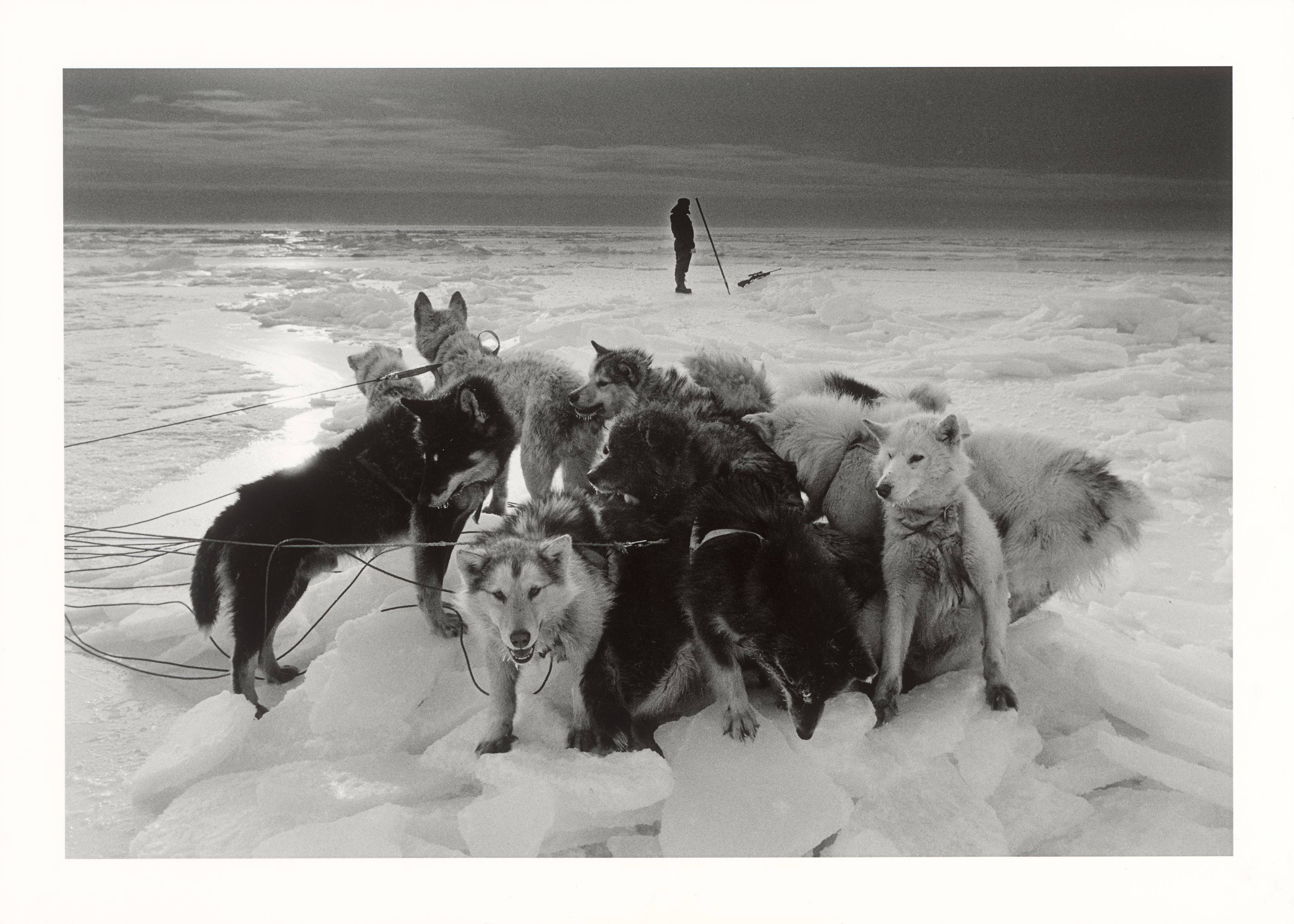 This picture shows the following artwork: Ragnar Axelsson. ”Hunter – Greenland”. 1995.