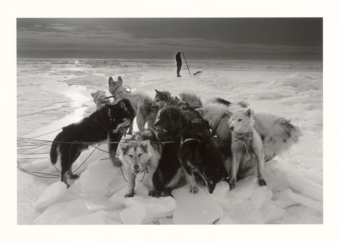 This picture shows the following artwork: Ragnar Axelsson. ”Hunter – Greenland”. 1995.