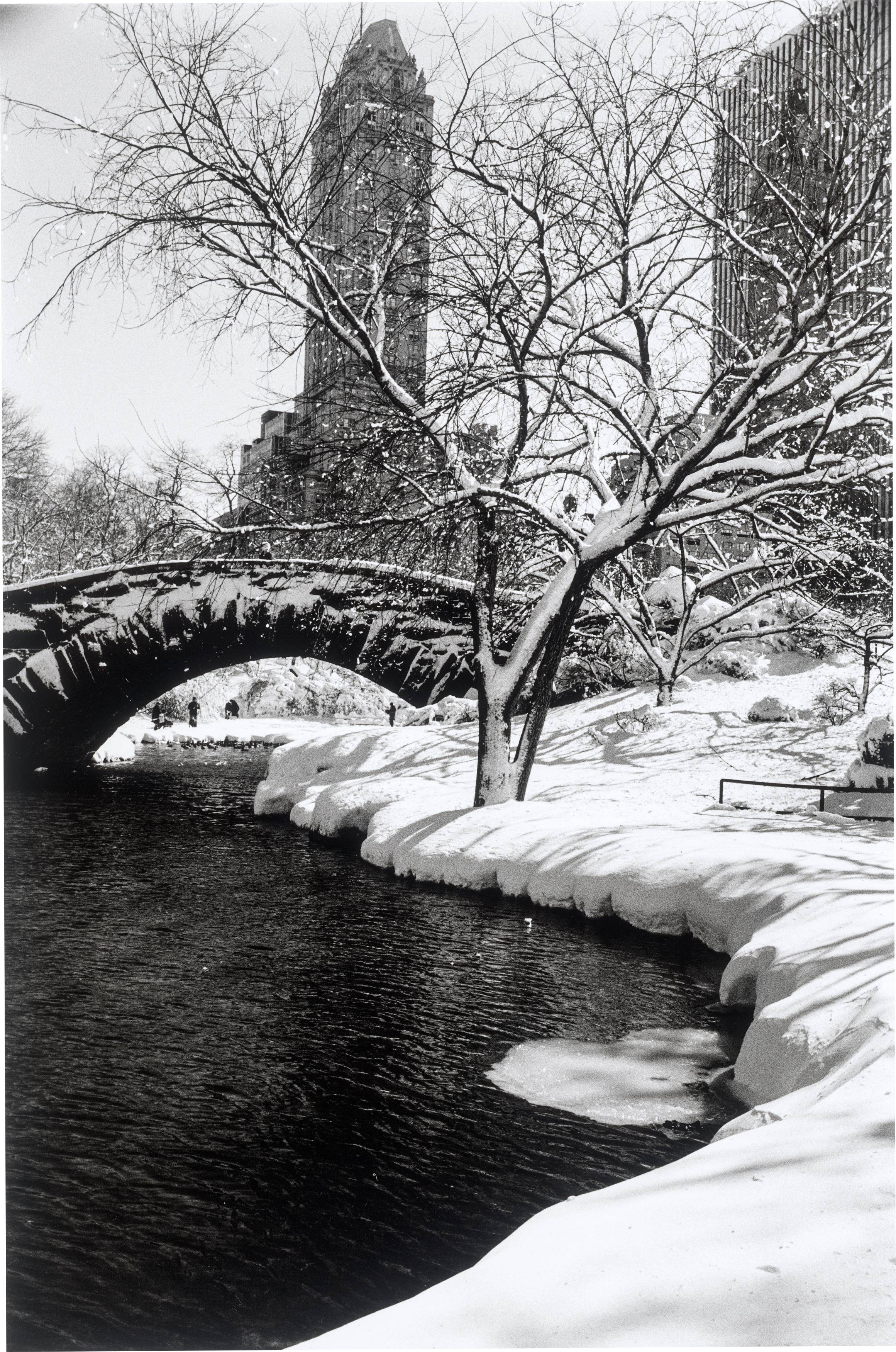 Auf diesem Bild ist das folgende Kunstwerk zu sehen: Alfred Eisenstaedt. Central Park after a Snowstorm, New York. 1959.