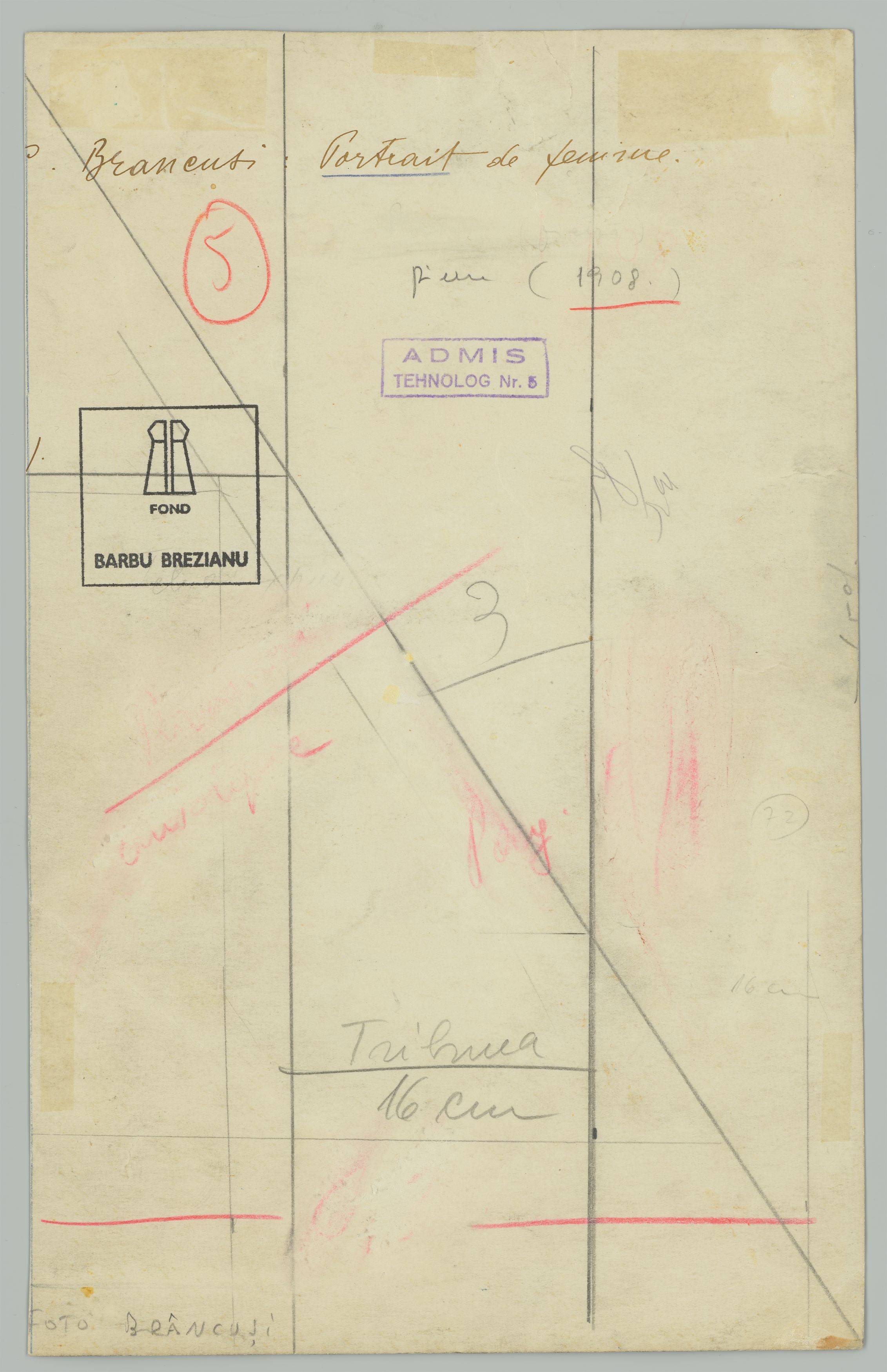 This picture shows the following artwork: Constantin Brâncuşi. Tête de femme (La Baronne Renée Frachon). Circa 1909.