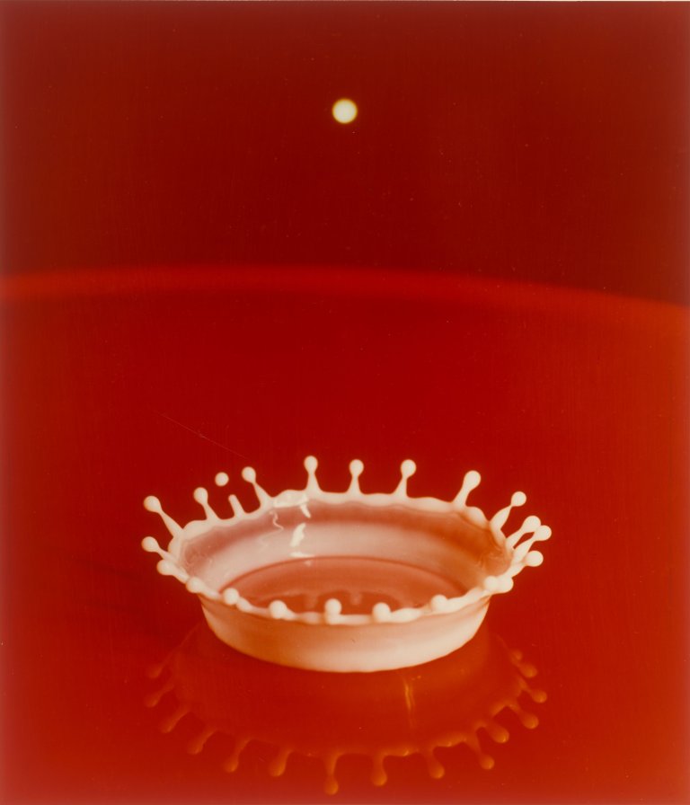 This picture shows the following artwork: Harold E. Edgerton. Milk Drop Coronet. 1957.