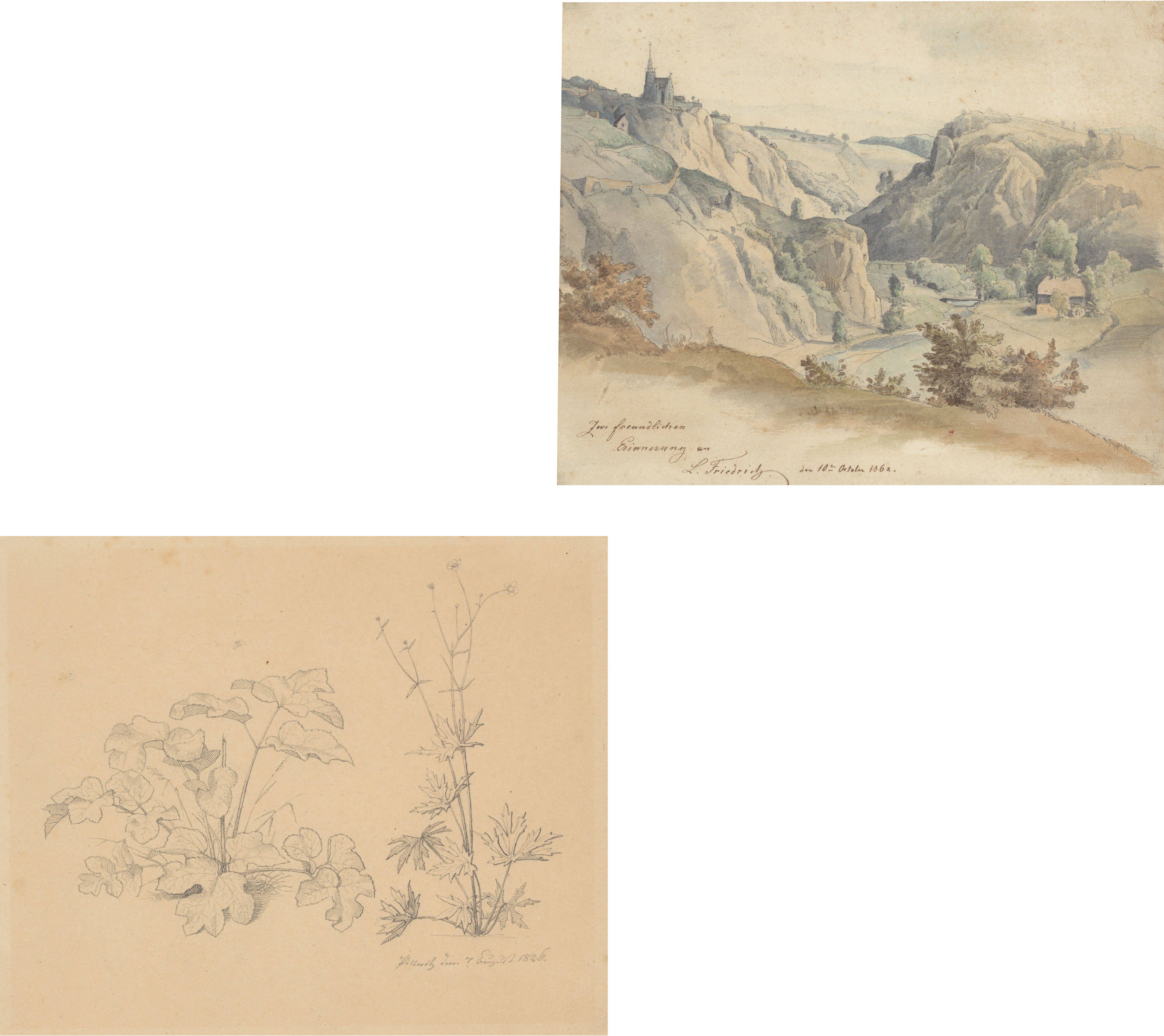 This picture shows the following artwork:  German, 1862/1826. Two study drawings: Landscape study / Plant study. 1862 / 1826.