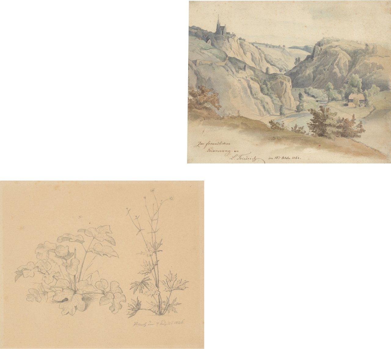 This picture shows the following artwork:  German, 1862/1826. Two study drawings: Landscape study / Plant study. 1862 / 1826.