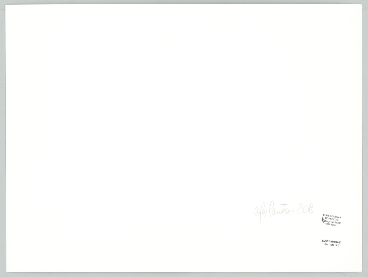 This picture shows the following artwork: Elfie Semotan. ”Louise Streissler”. 2017.