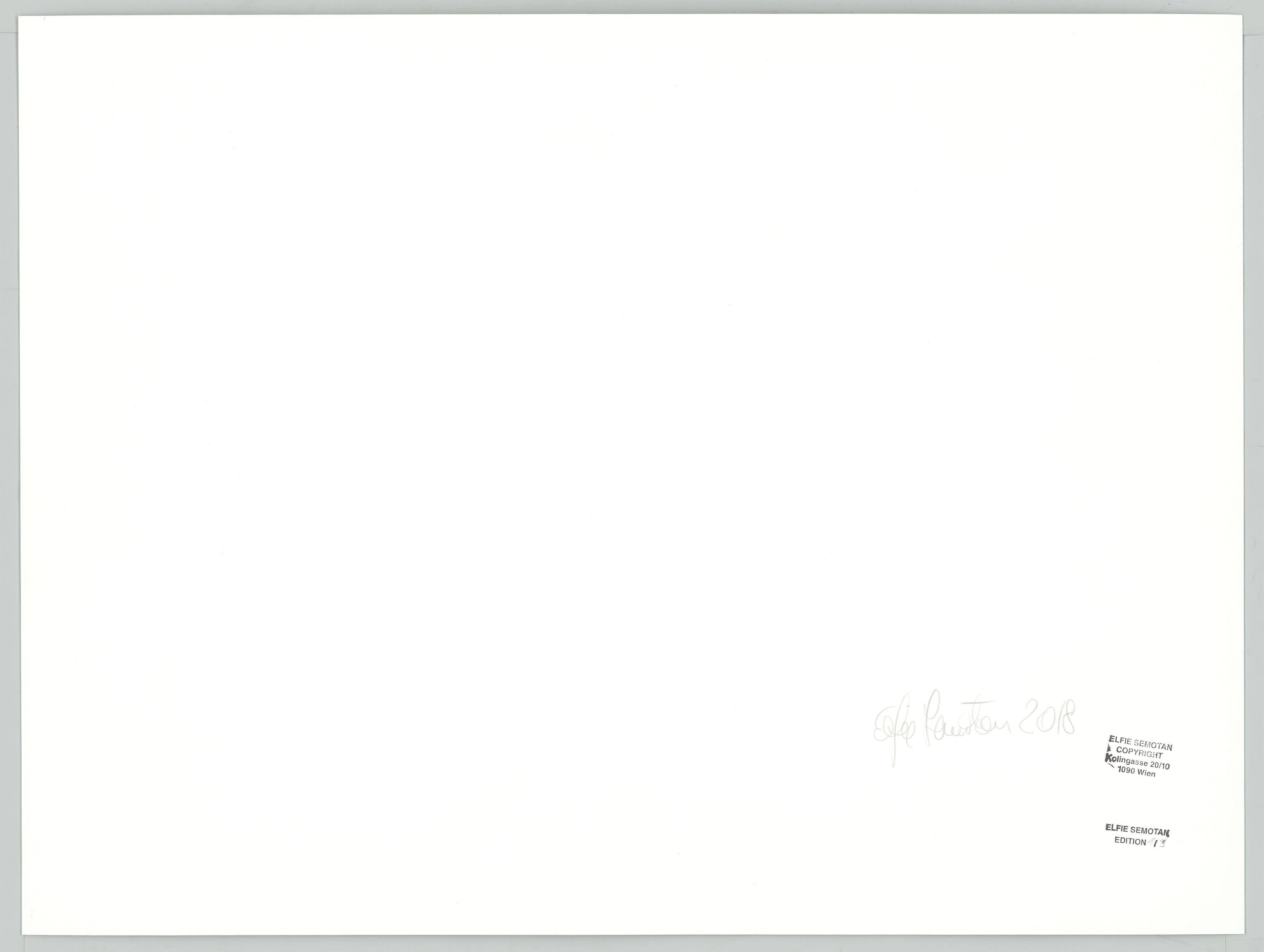 This picture shows the following artwork: Elfie Semotan. ”Louise Streissler”. 2017.