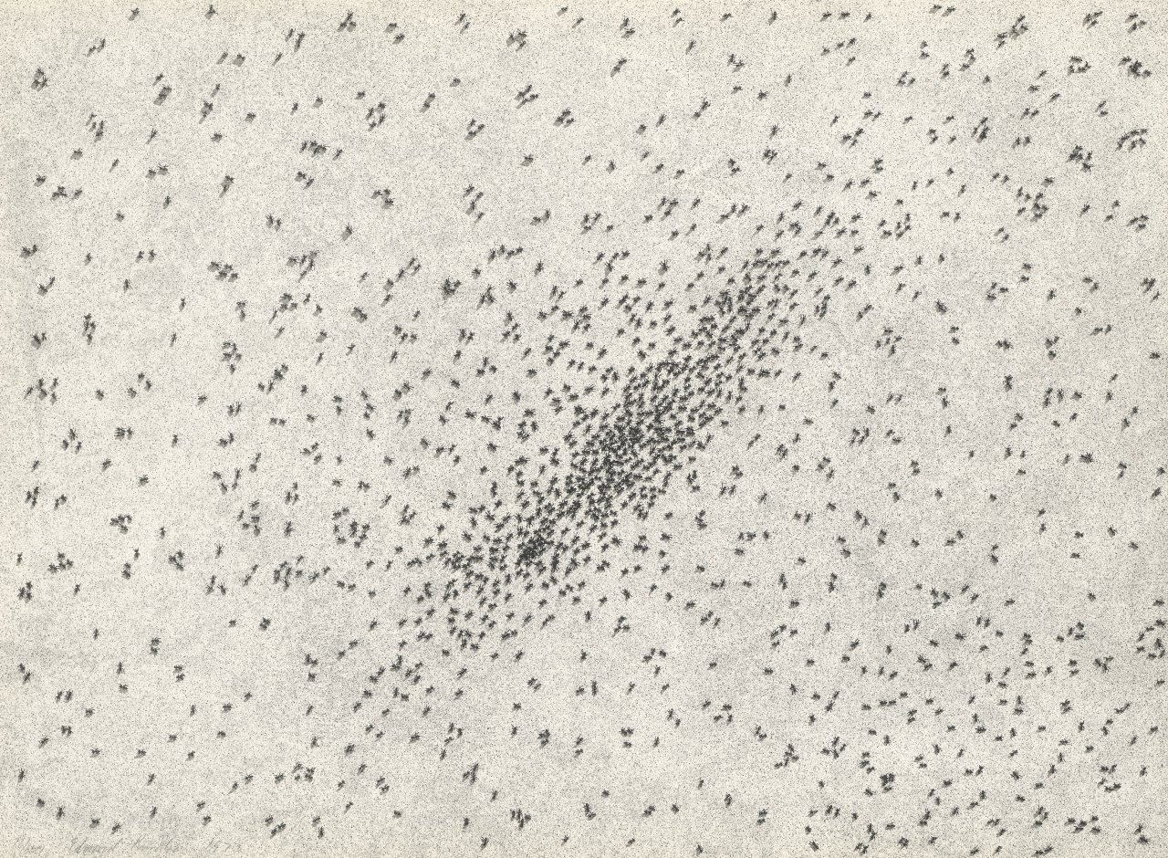 Auf diesem Bild ist das folgende Kunstwerk zu sehen: Ed Ruscha. „Insect Slant“. 1973.