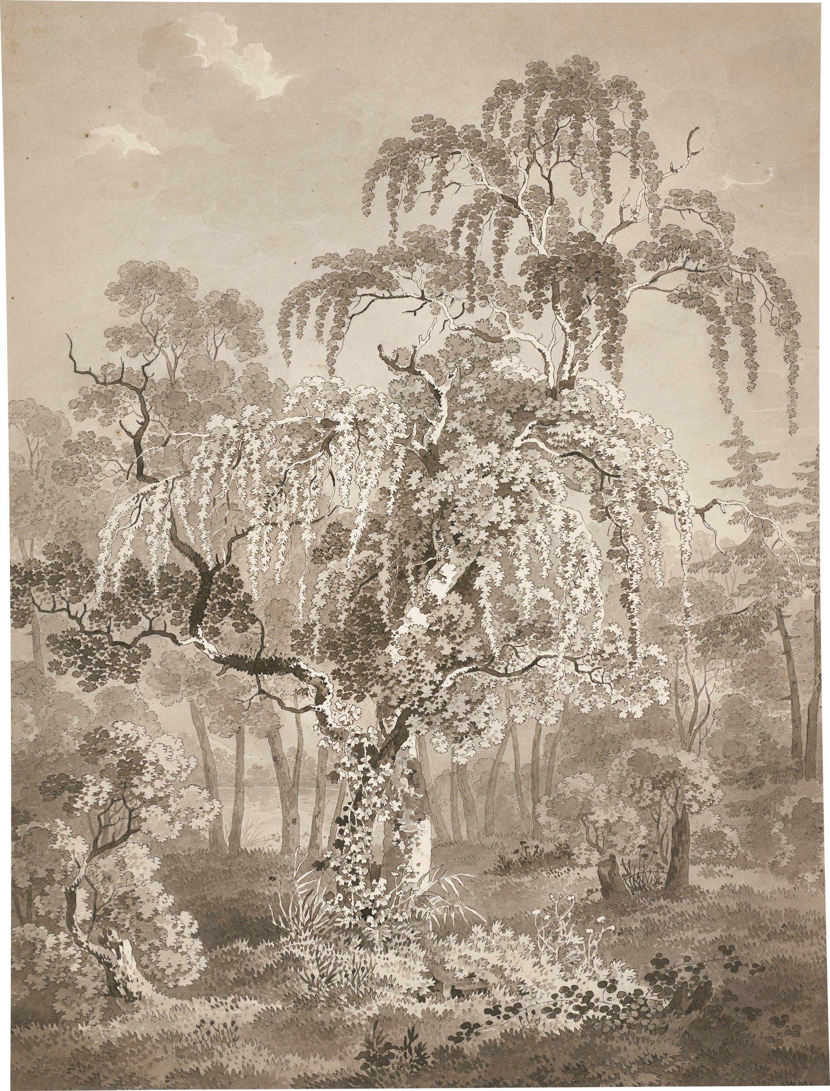 This picture shows the following artwork: Adrian Zingg. Wooded area with small pond.