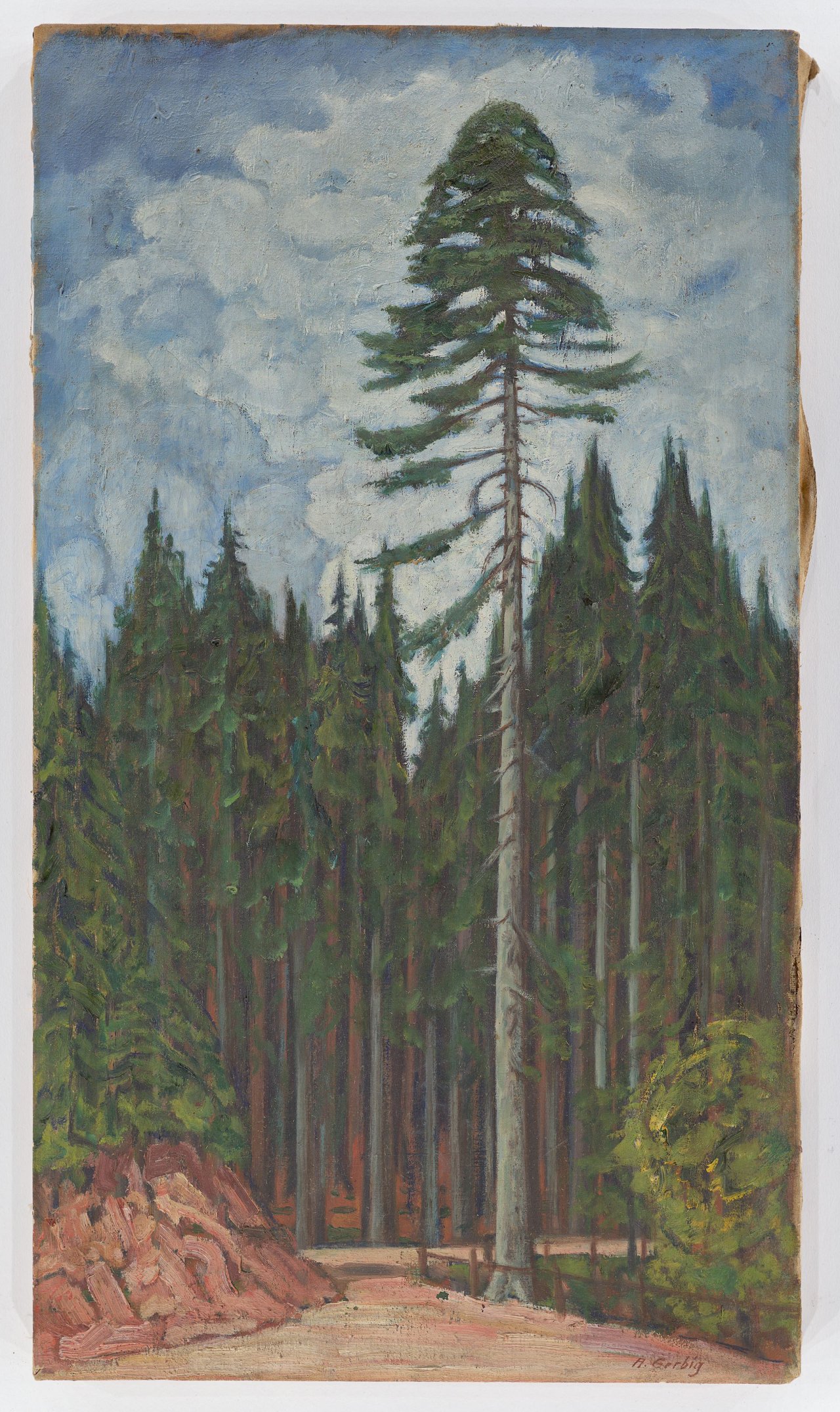 This picture shows the following artwork: Alexander Gerbig. Untitled (forest clearing).