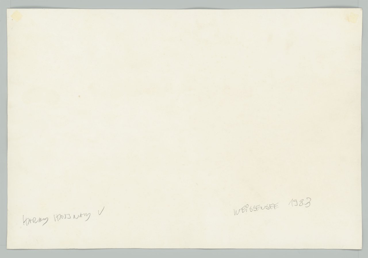 This picture shows the following artwork: Harald Hauswald. ”Weissensee”. 1983.
