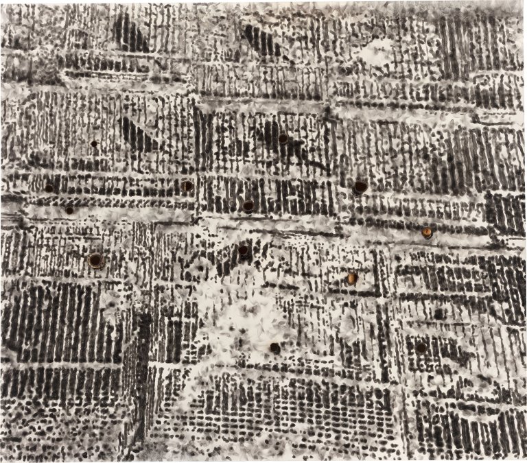 Auf diesem Bild ist das folgende Kunstwerk zu sehen: Jiří Georg Dokoupil. „Pajaros con agujeros“. 1989.
